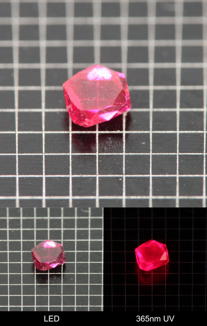 Synthetic Flux Ruby Gemstone Grown by Gems of Science on a black mm grid background showing normal light and UV fluorescence