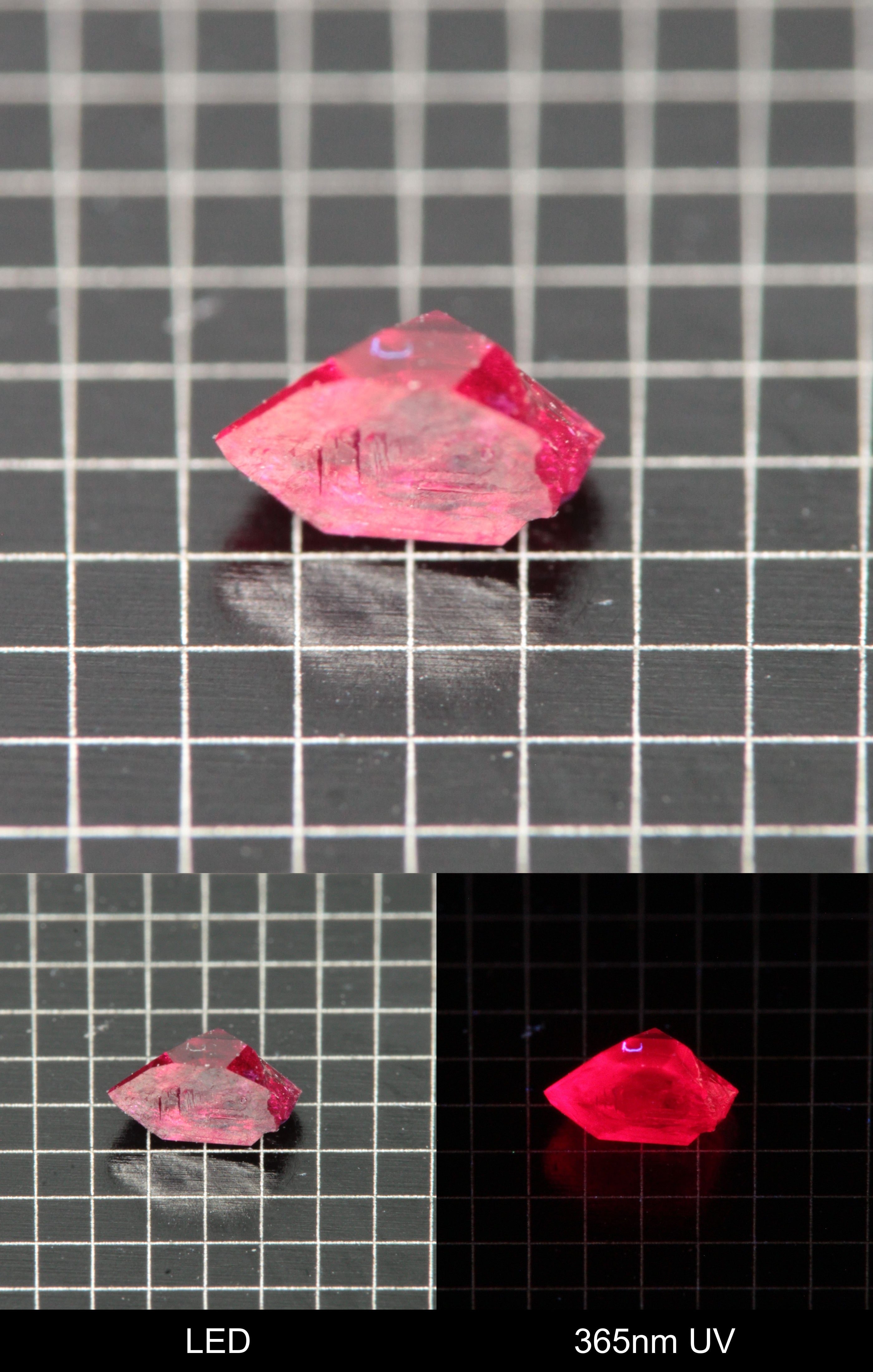 Synthetic Flux Ruby Gemstone Grown by Gems of Science on a black mm grid background showing normal light and UV fluorescence