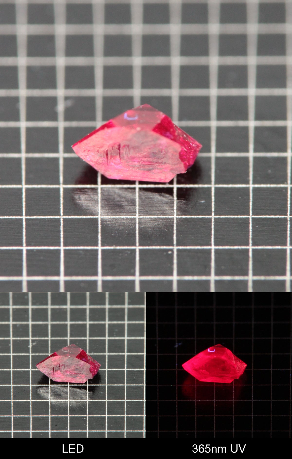 Synthetic Flux Ruby Gemstone Grown by Gems of Science on a black mm grid background showing normal light and UV fluorescence