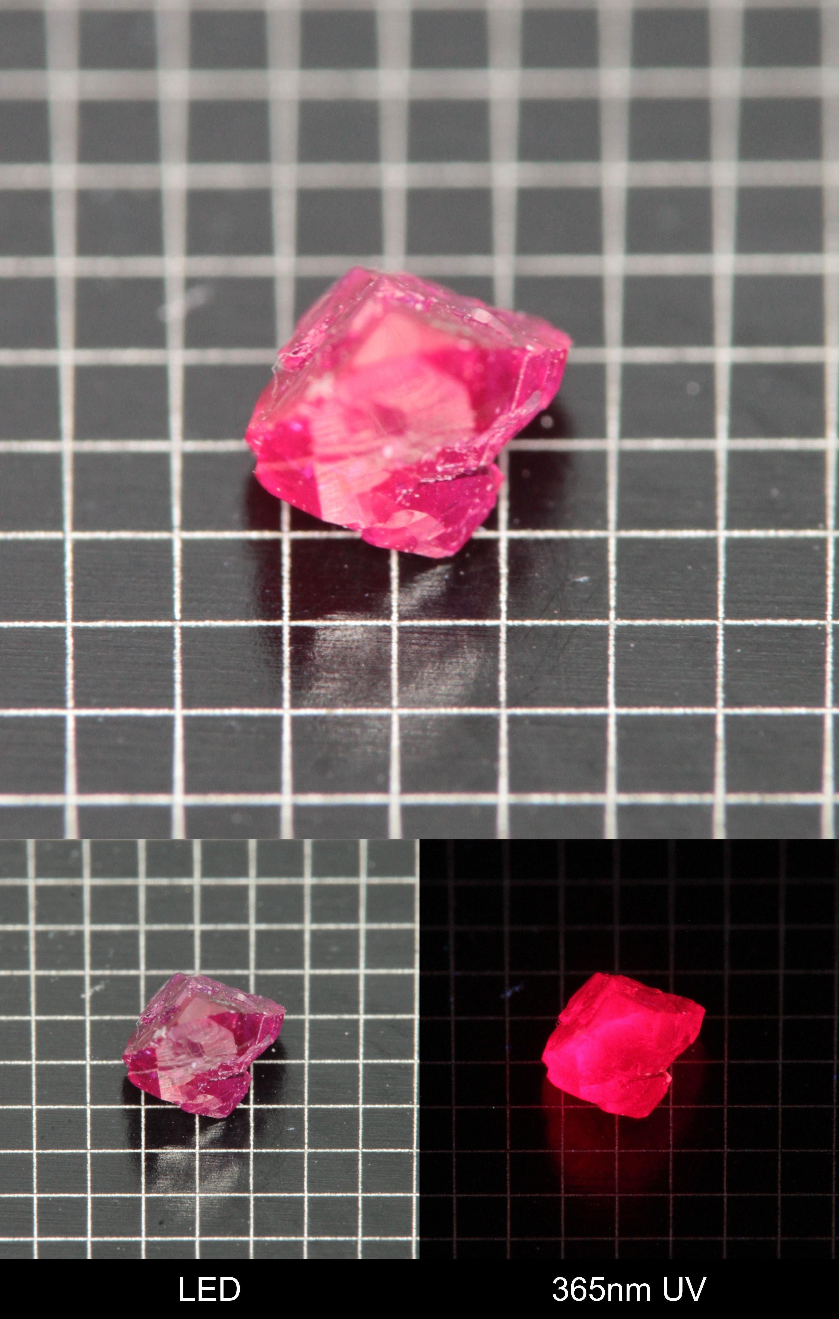 Synthetic Flux Ruby Gemstone Grown by Gems of Science on a black mm grid background showing normal light and UV fluorescence