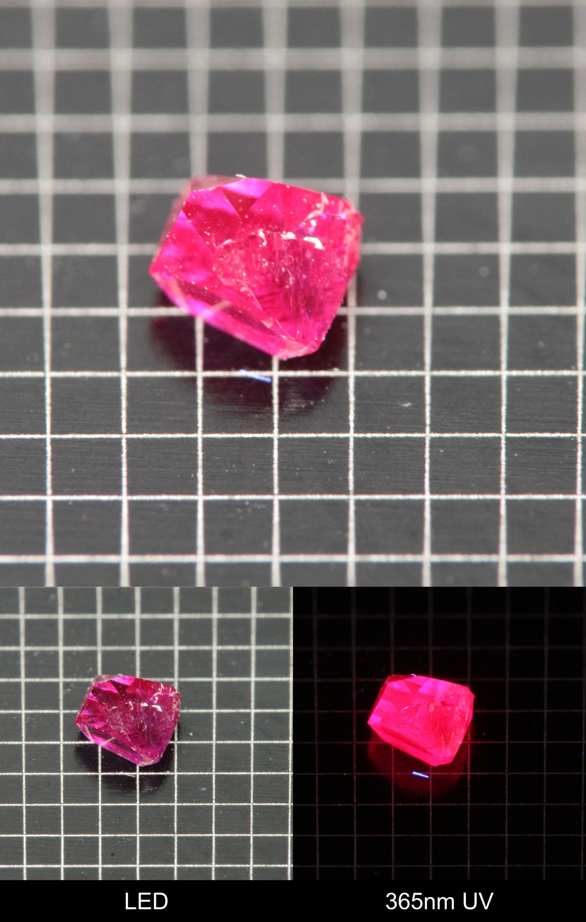 Synthetic Flux Ruby Gemstone Grown by Gems of Science on a black mm grid background showing normal light and UV fluorescence