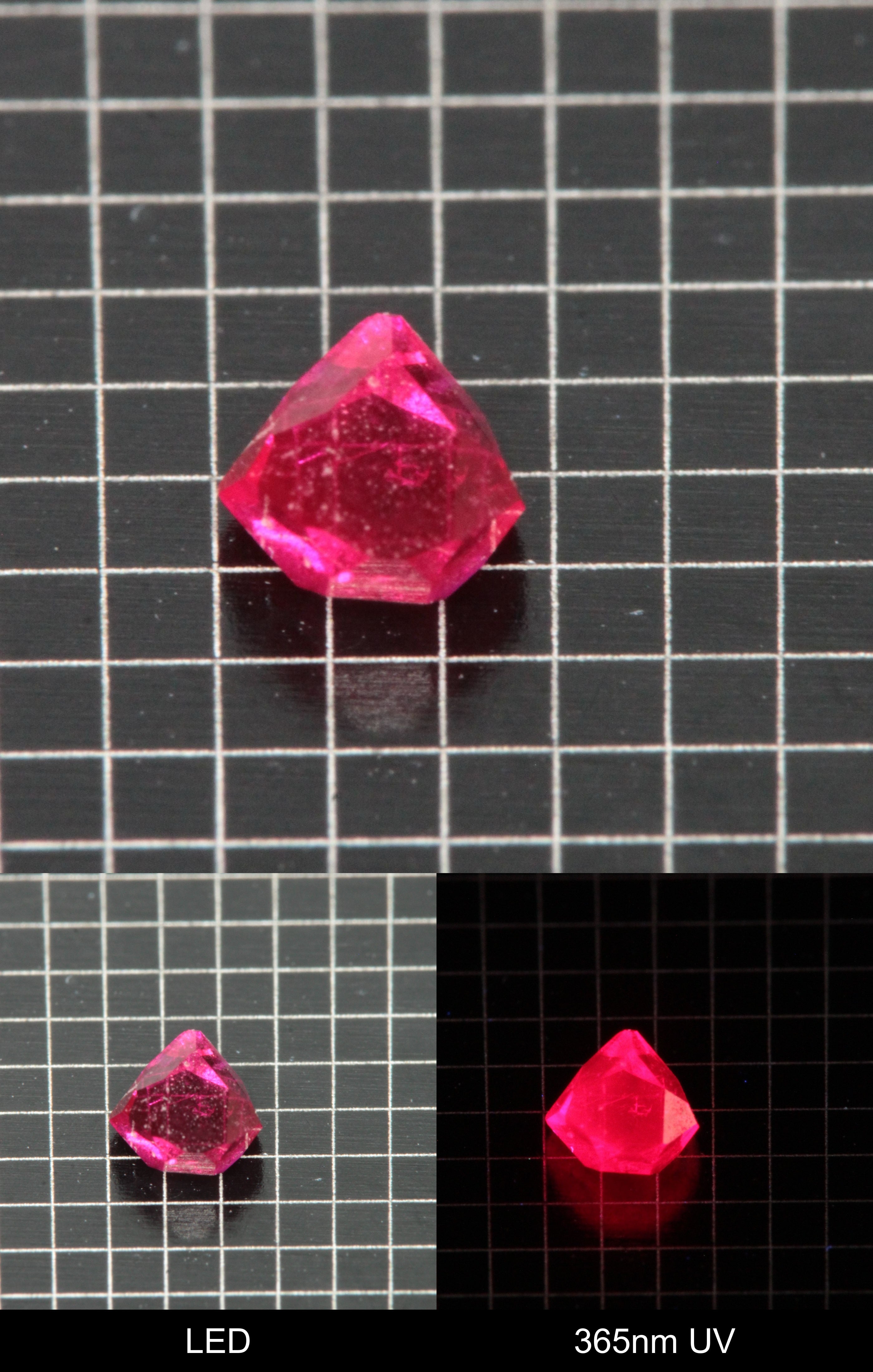 Synthetic Flux Ruby Gemstone Grown by Gems of Science on a black mm grid background showing normal light and UV fluorescence