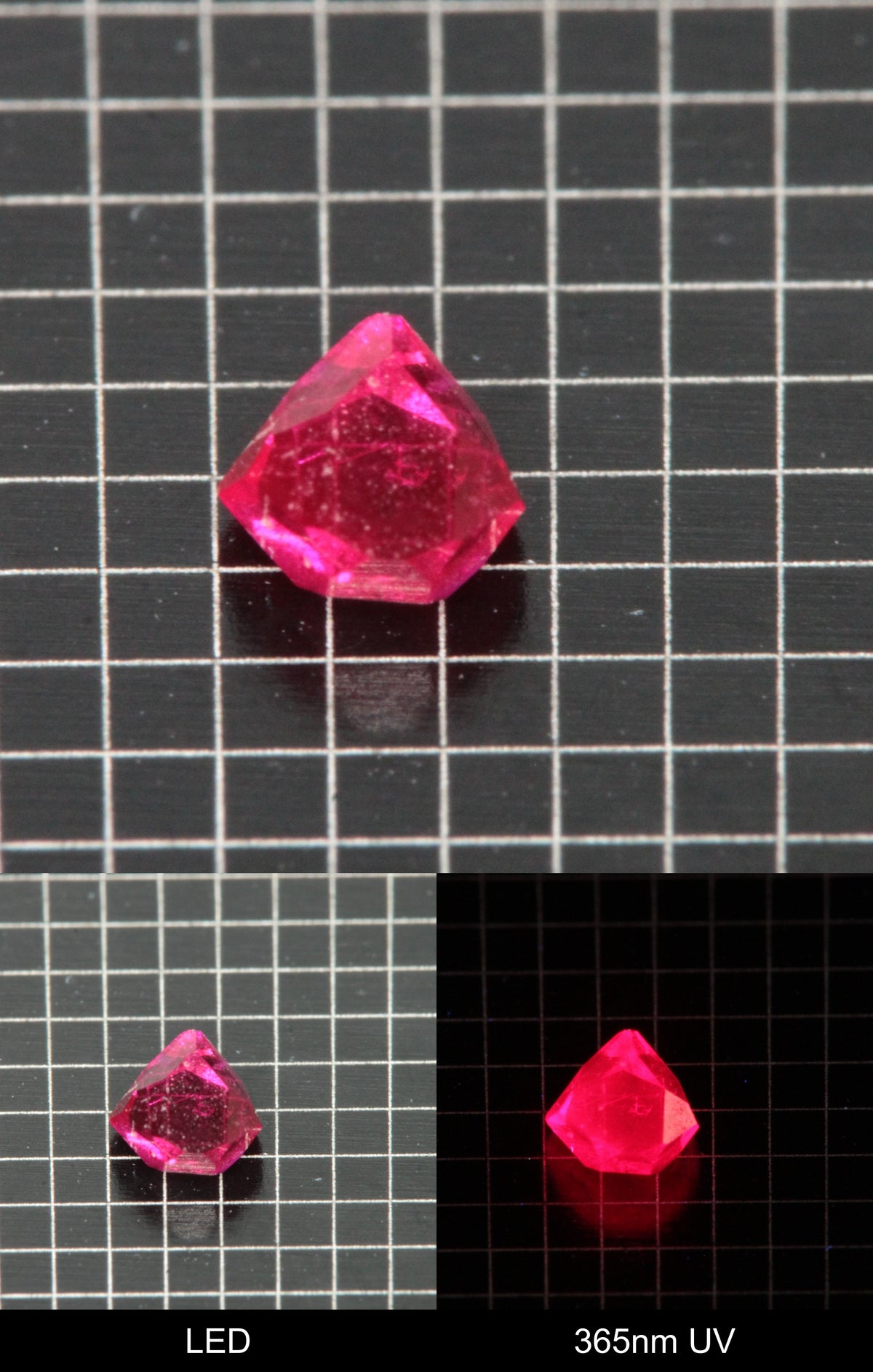 Synthetic Flux Ruby Gemstone Grown by Gems of Science on a black mm grid background showing normal light and UV fluorescence