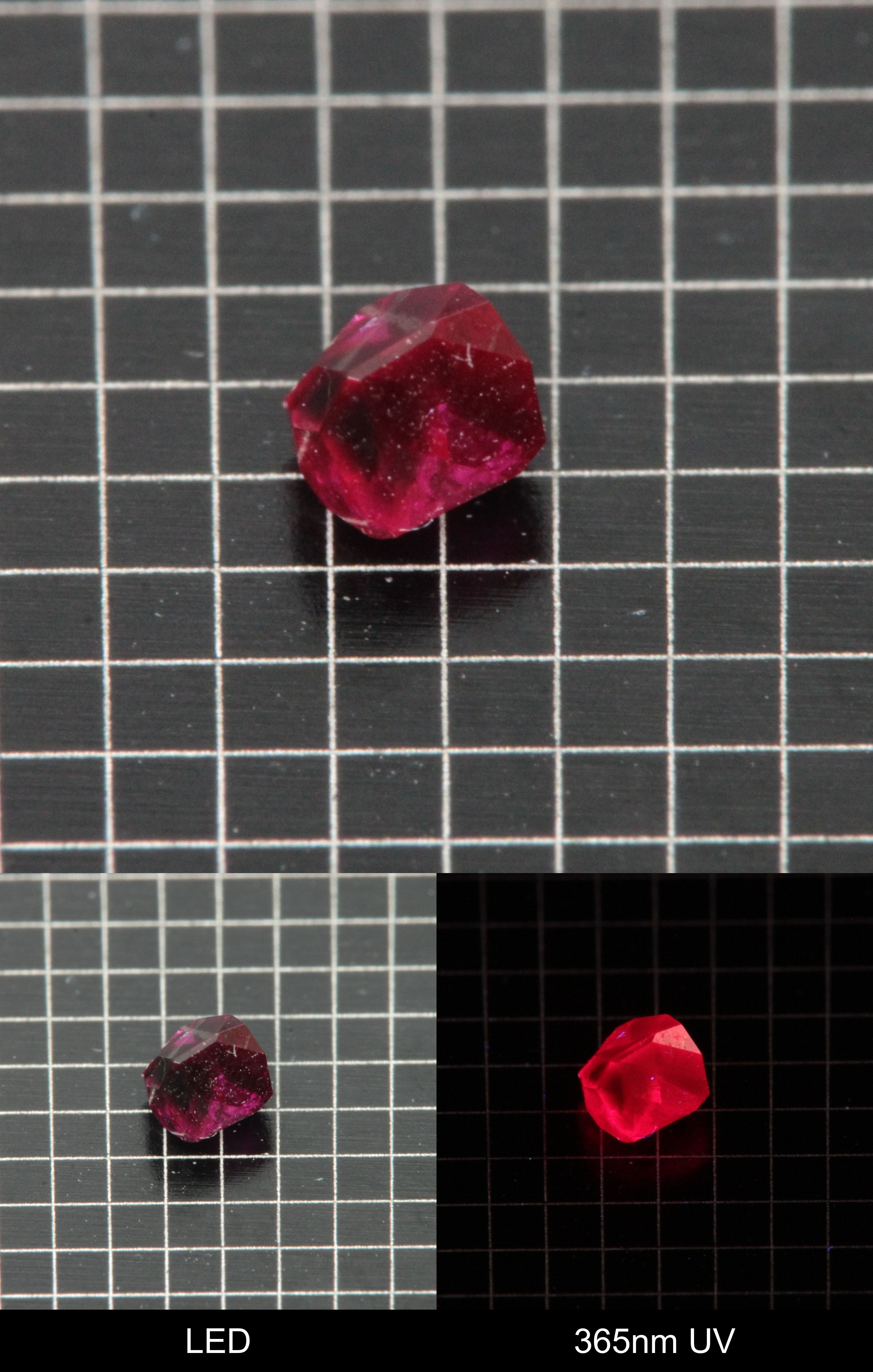 Synthetic Flux Ruby Gemstone Grown by Gems of Science on a black mm grid background showing normal light and UV fluorescence