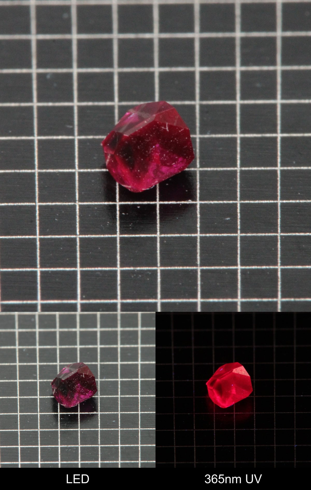 Synthetic Flux Ruby Gemstone Grown by Gems of Science on a black mm grid background showing normal light and UV fluorescence