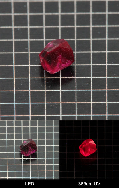 Synthetic Flux Ruby Gemstone Grown by Gems of Science on a black mm grid background showing normal light and UV fluorescence