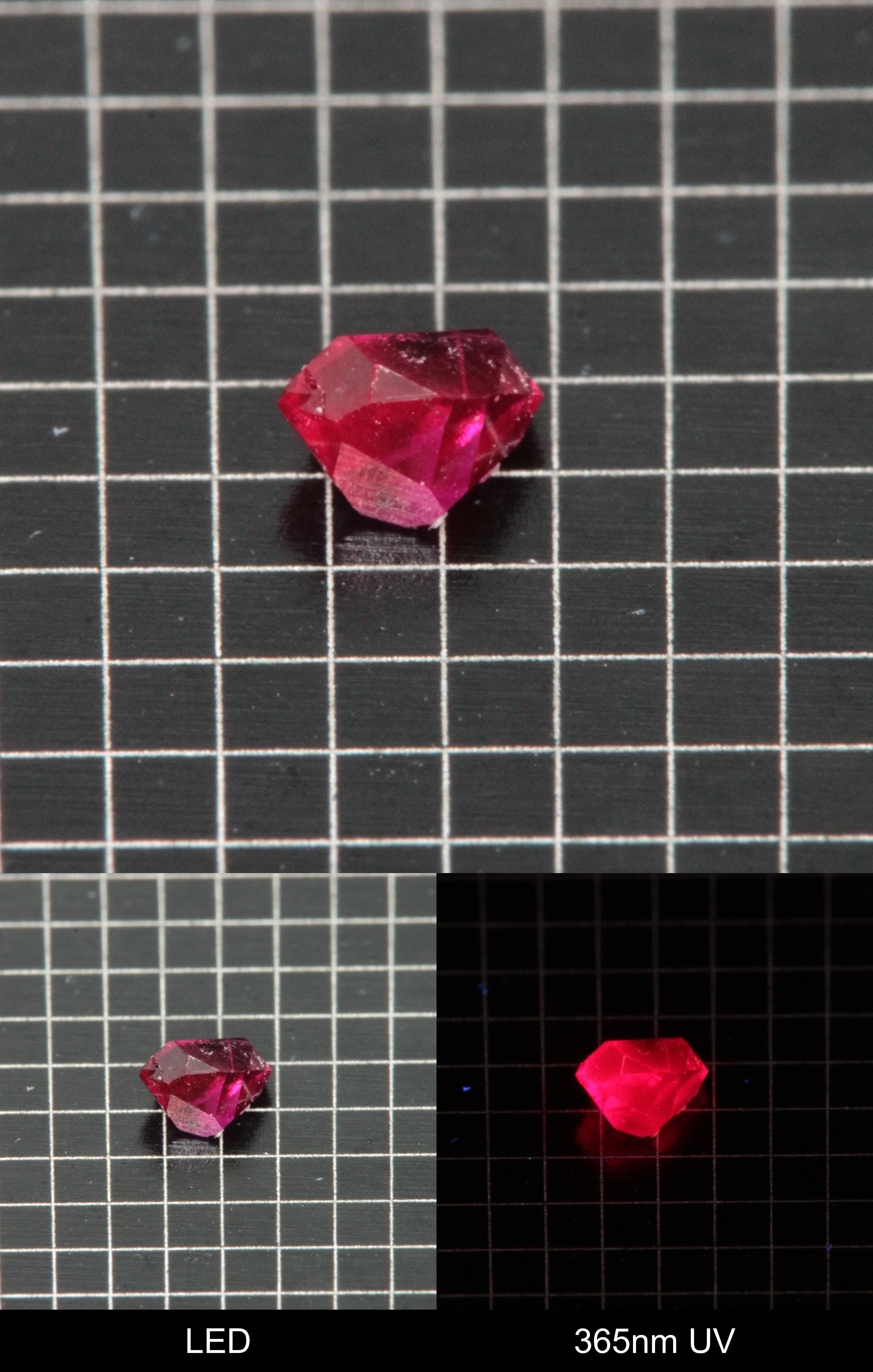 Synthetic Flux Ruby Gemstone Grown by Gems of Science on a black mm grid background showing normal light and UV fluorescence