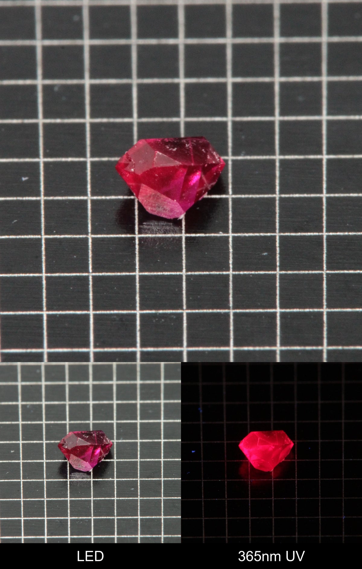 Synthetic Flux Ruby Gemstone Grown by Gems of Science on a black mm grid background showing normal light and UV fluorescence