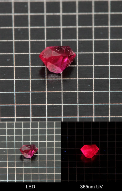 Synthetic Flux Ruby Gemstone Grown by Gems of Science on a black mm grid background showing normal light and UV fluorescence