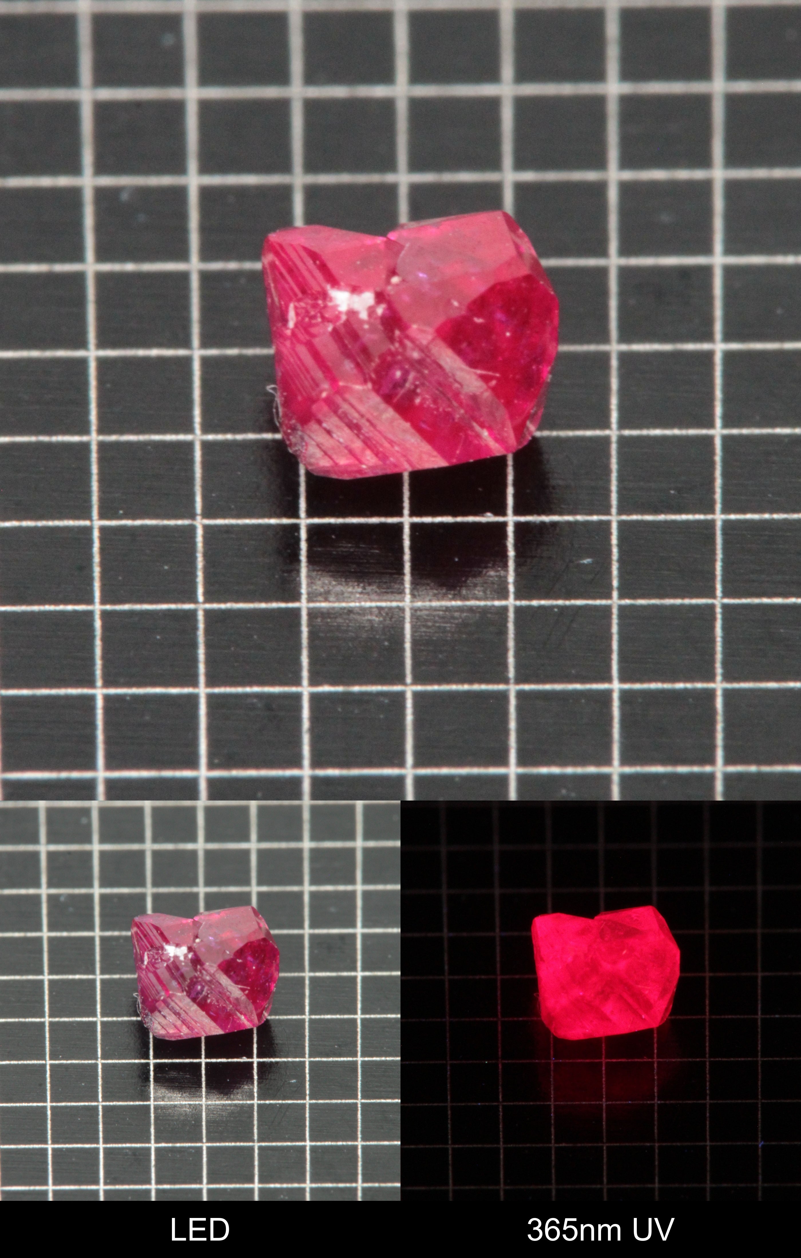 Synthetic Flux Ruby Gemstone Grown by Gems of Science on a black mm grid background showing normal light and UV fluorescence