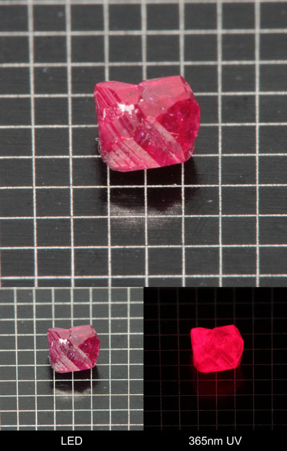 Synthetic Flux Ruby Gemstone Grown by Gems of Science on a black mm grid background showing normal light and UV fluorescence