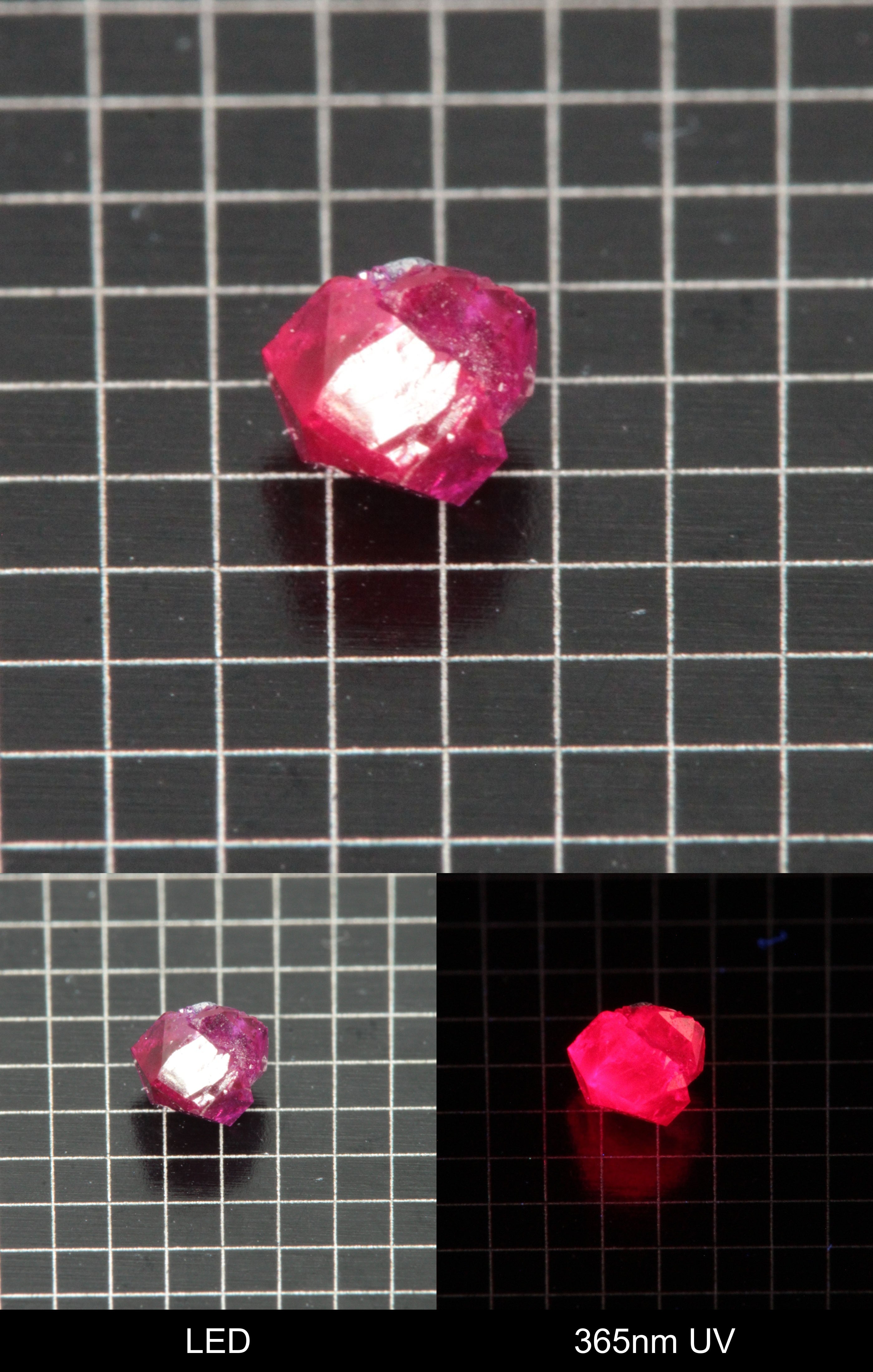 Synthetic Flux Ruby Gemstone Grown by Gems of Science on a black mm grid background showing normal light and UV fluorescence