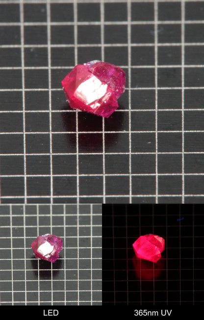 Synthetic Flux Ruby Gemstone Grown by Gems of Science on a black mm grid background showing normal light and UV fluorescence