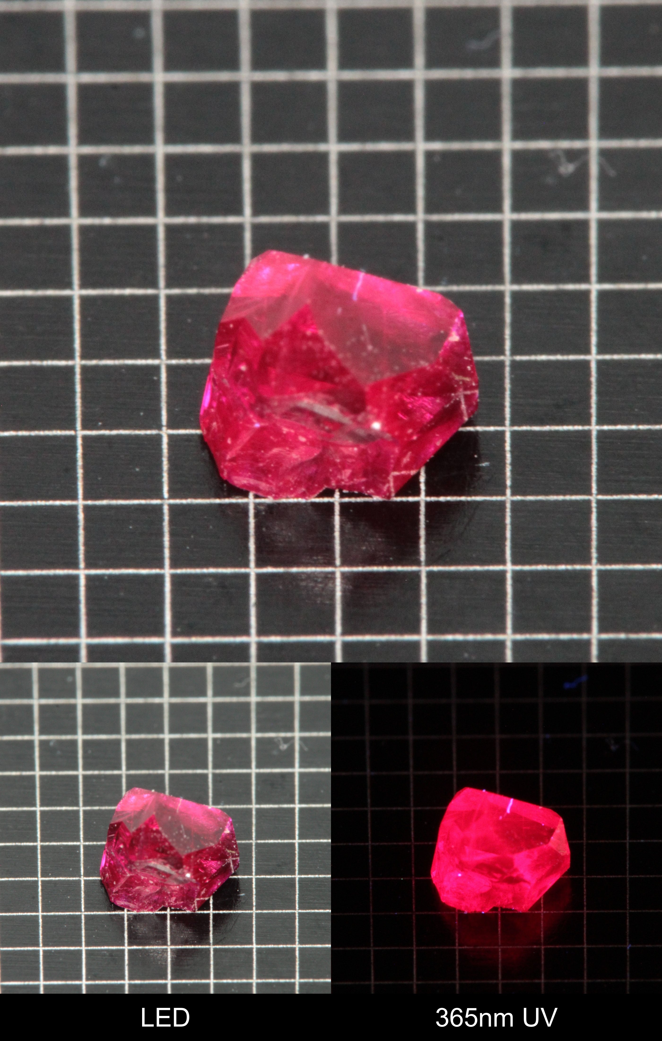Synthetic Flux Ruby Gemstone Grown by Gems of Science on a black mm grid background showing normal light and UV fluorescence