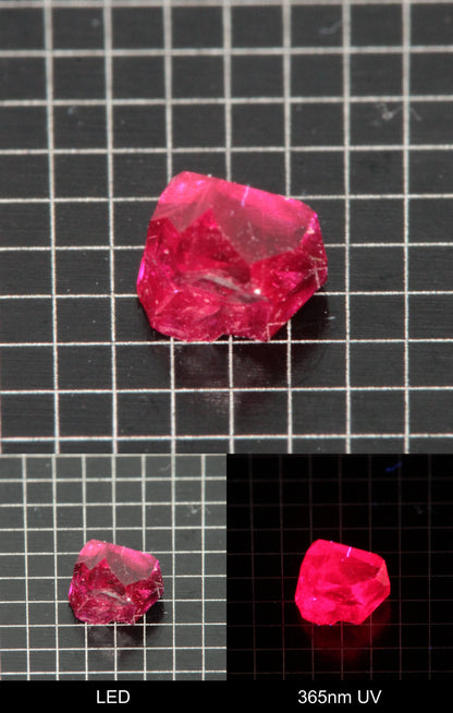 Synthetic Flux Ruby Gemstone Grown by Gems of Science on a black mm grid background showing normal light and UV fluorescence