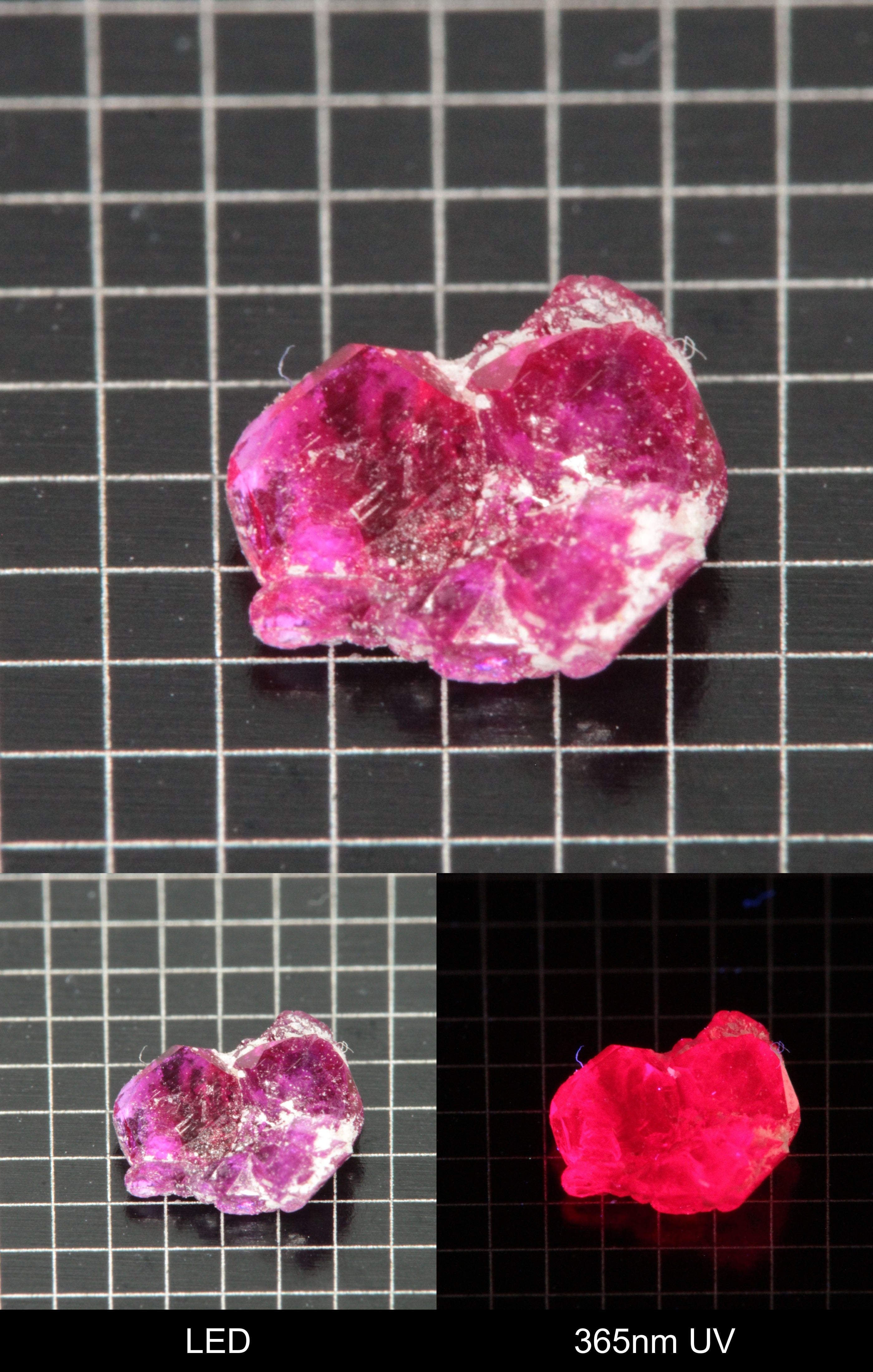 Synthetic Thin Flux Ruby Gemstone Grown by Gems of Science on a black mm grid background showing normal light and UV fluorescence