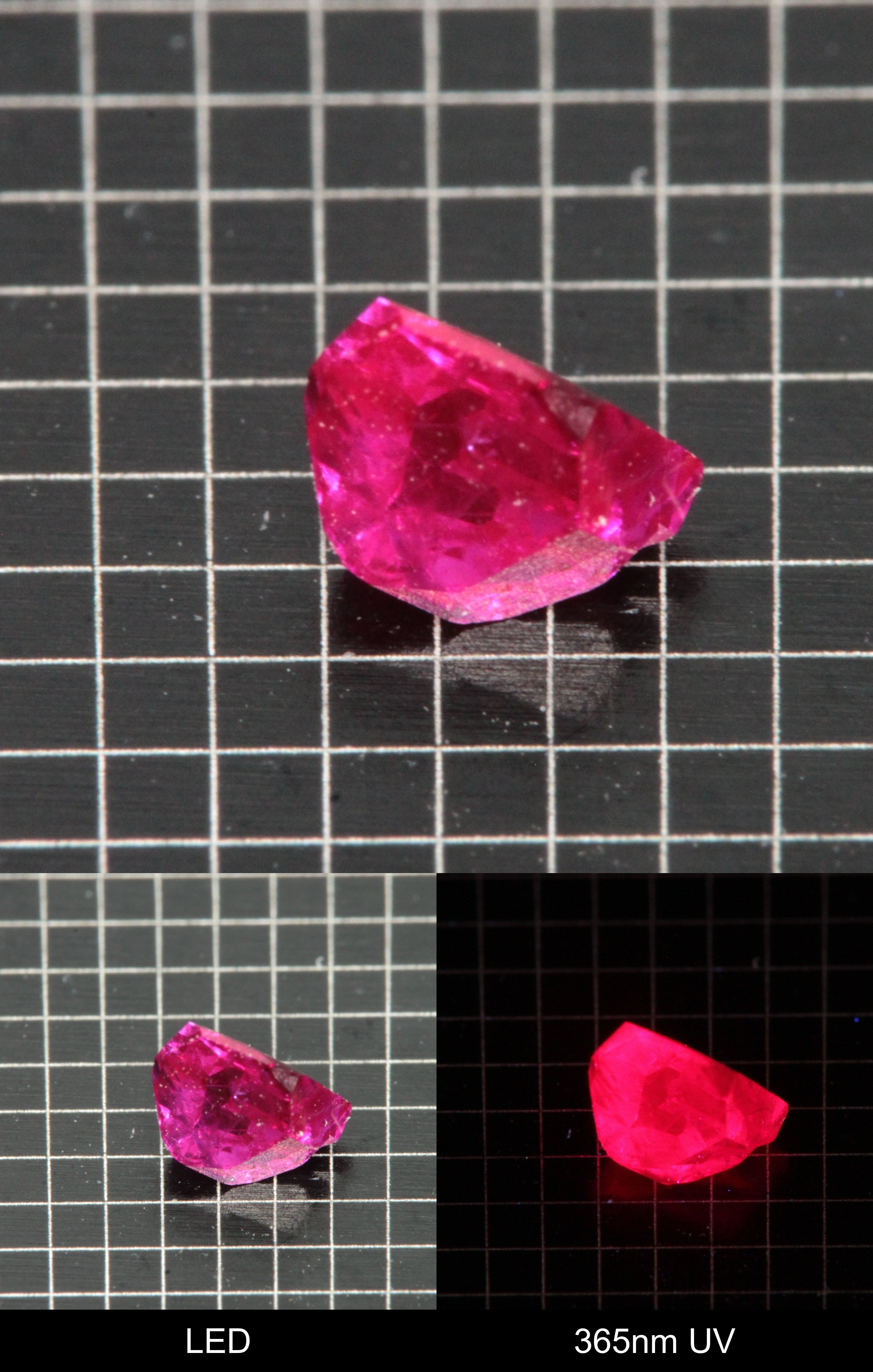 Synthetic Flux Ruby Gemstone Grown by Gems of Science on a black mm grid background showing normal light and UV fluorescence