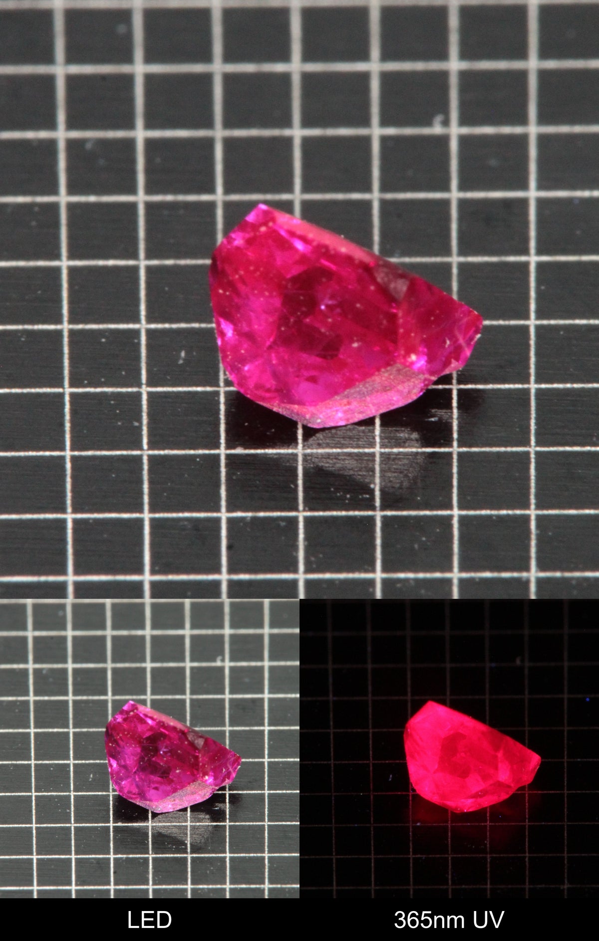Synthetic Flux Ruby Gemstone Grown by Gems of Science on a black mm grid background showing normal light and UV fluorescence