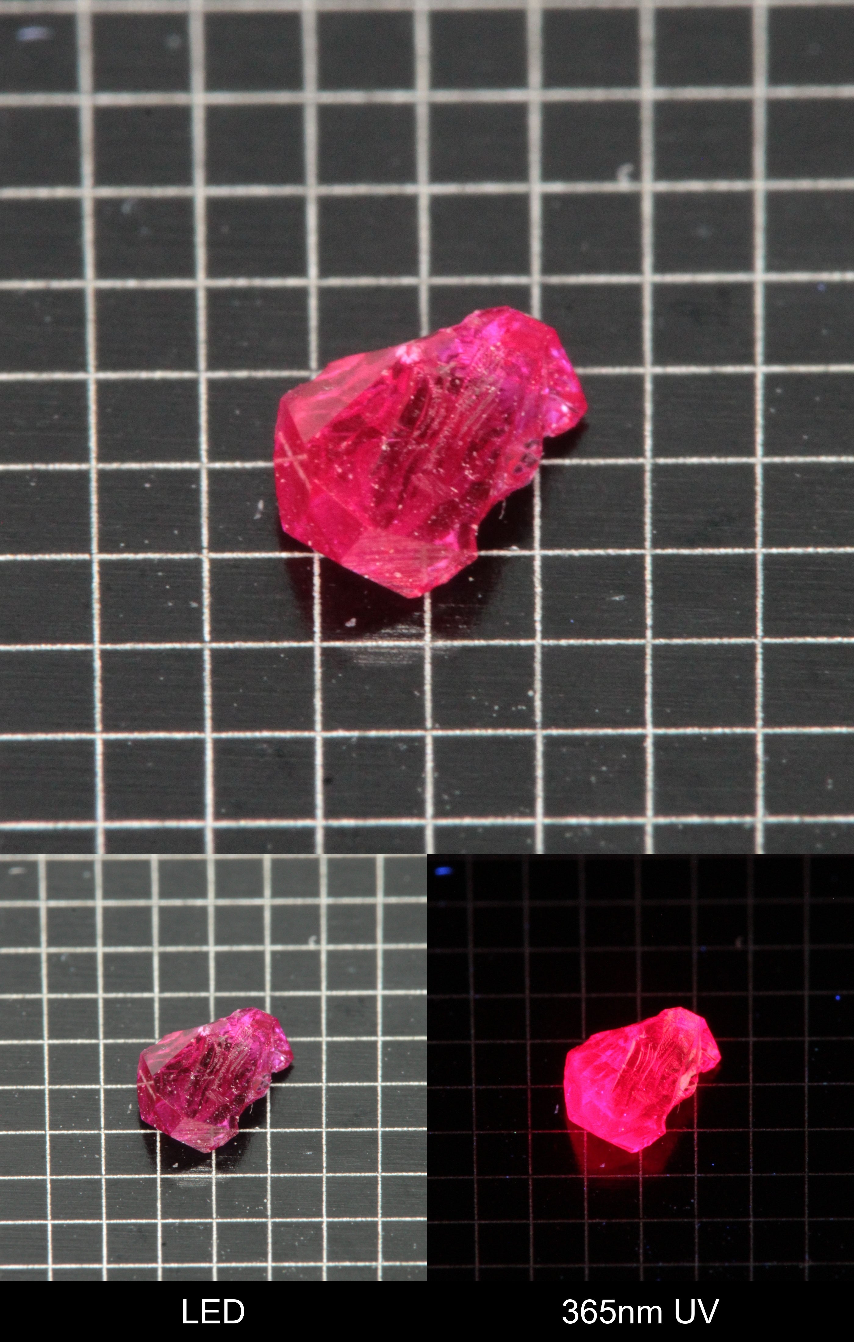 Synthetic Flux Ruby Gemstone Grown by Gems of Science on a black mm grid background showing normal light and UV fluorescence
