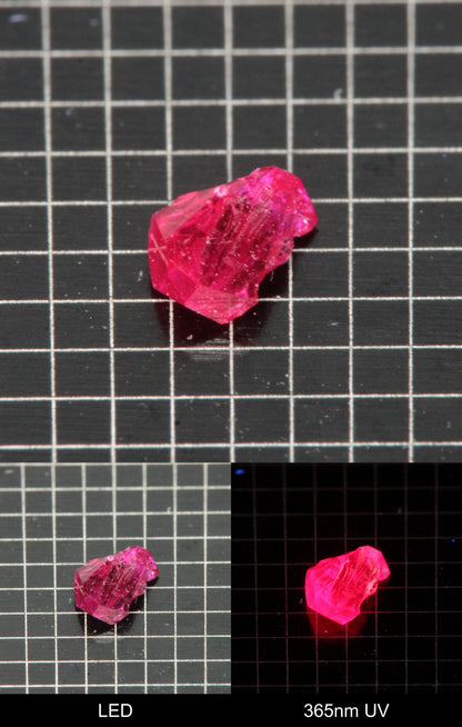 Synthetic Flux Ruby Gemstone Grown by Gems of Science on a black mm grid background showing normal light and UV fluorescence