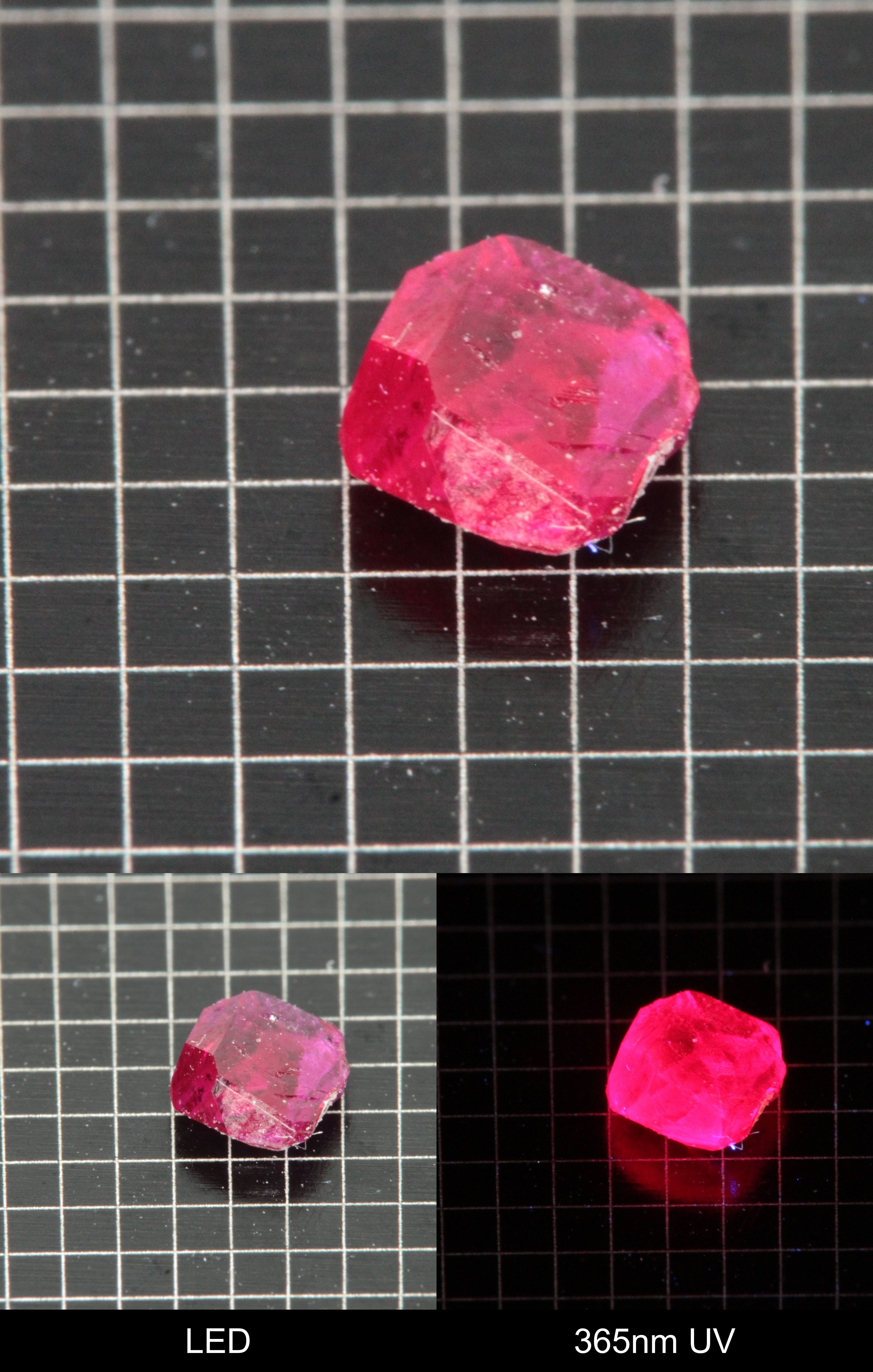 Synthetic Thin Flux Ruby Gemstone Grown by Gems of Science on a black mm grid background showing normal light and UV fluorescence