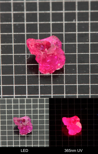 Synthetic Flux Ruby Gemstone Grown by Gems of Science on a black mm grid background showing normal light and UV fluorescence