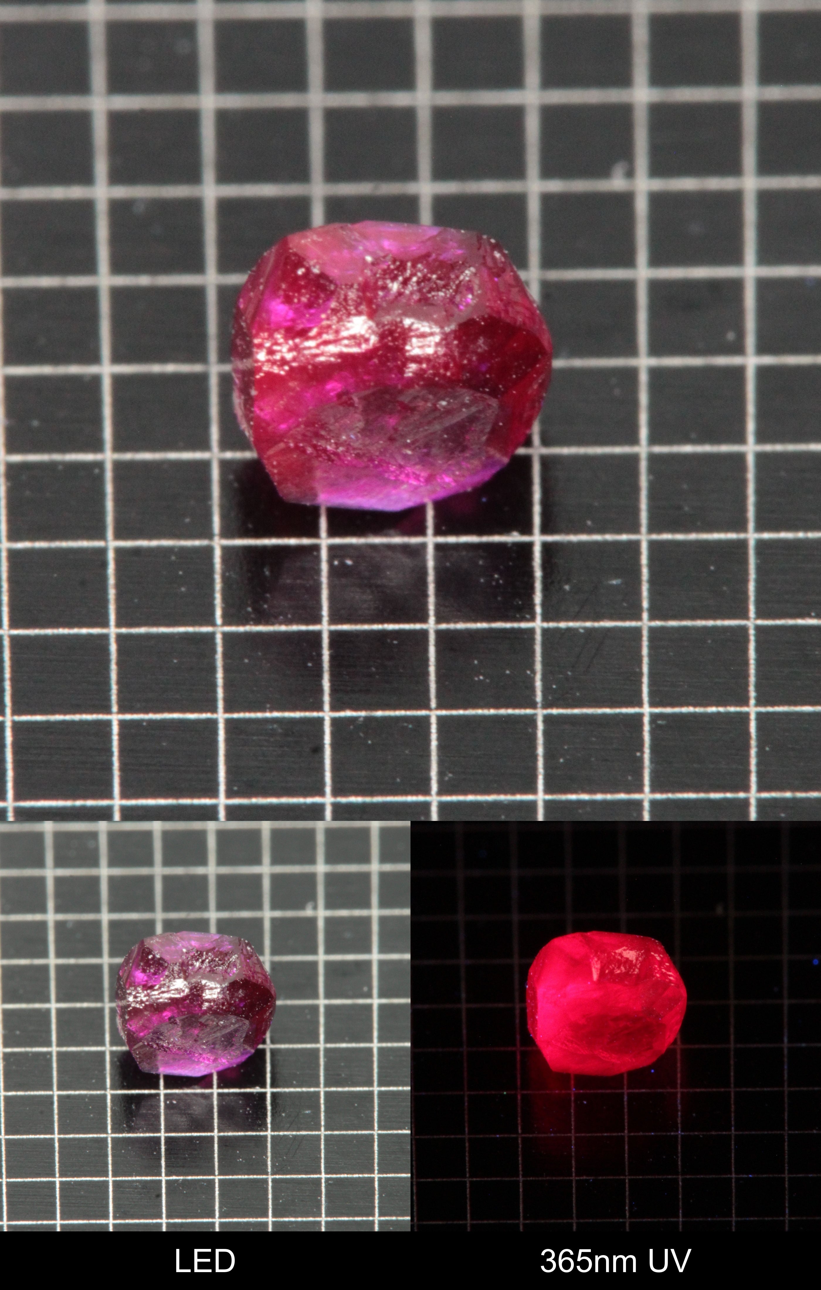 Synthetic Flux Ruby Gemstone Grown by Gems of Science on a black mm grid background showing normal light and UV fluorescence