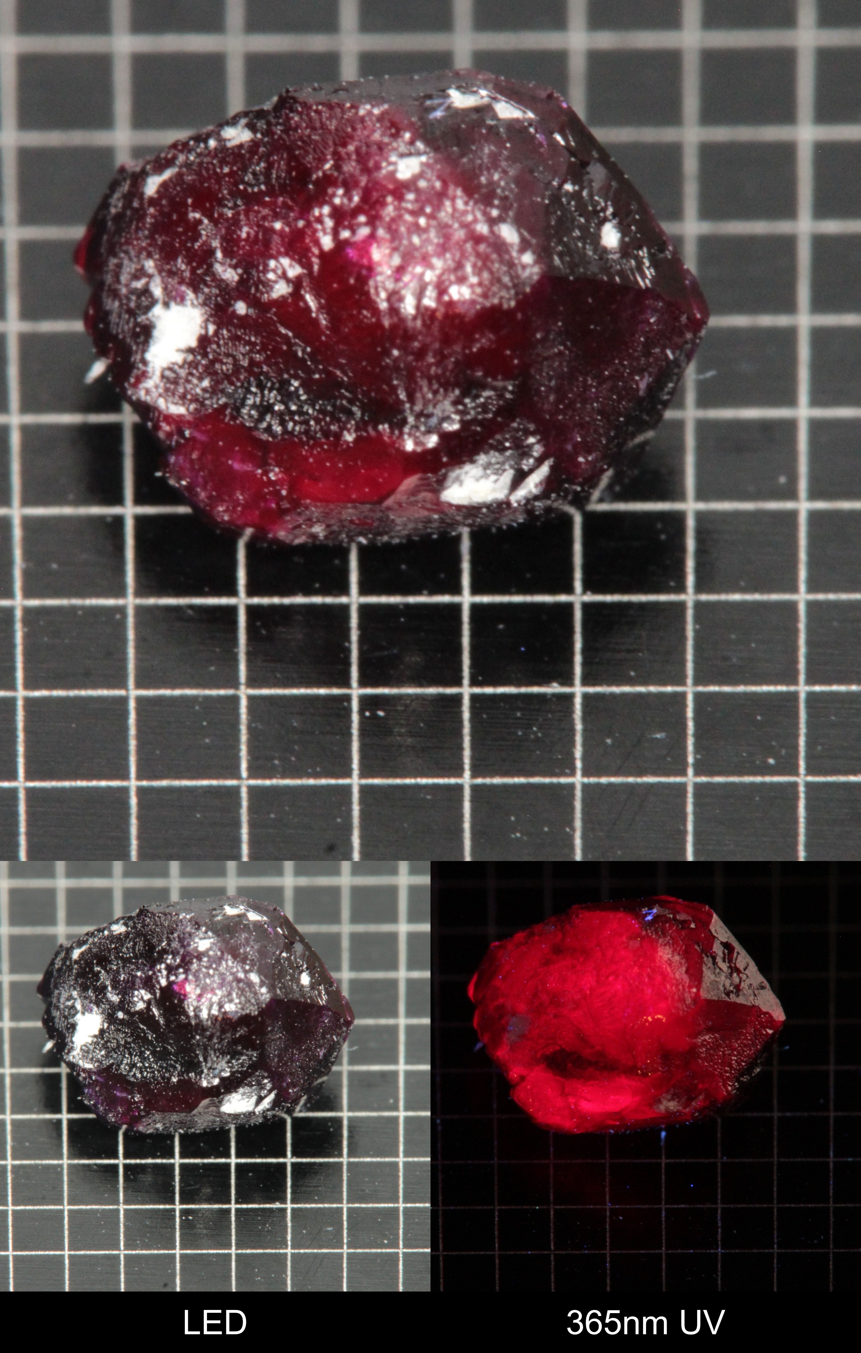 Synthetic Dark Flux Ruby Gemstone Grown by Gems of Science on a black mm grid background showing normal light and UV fluorescence