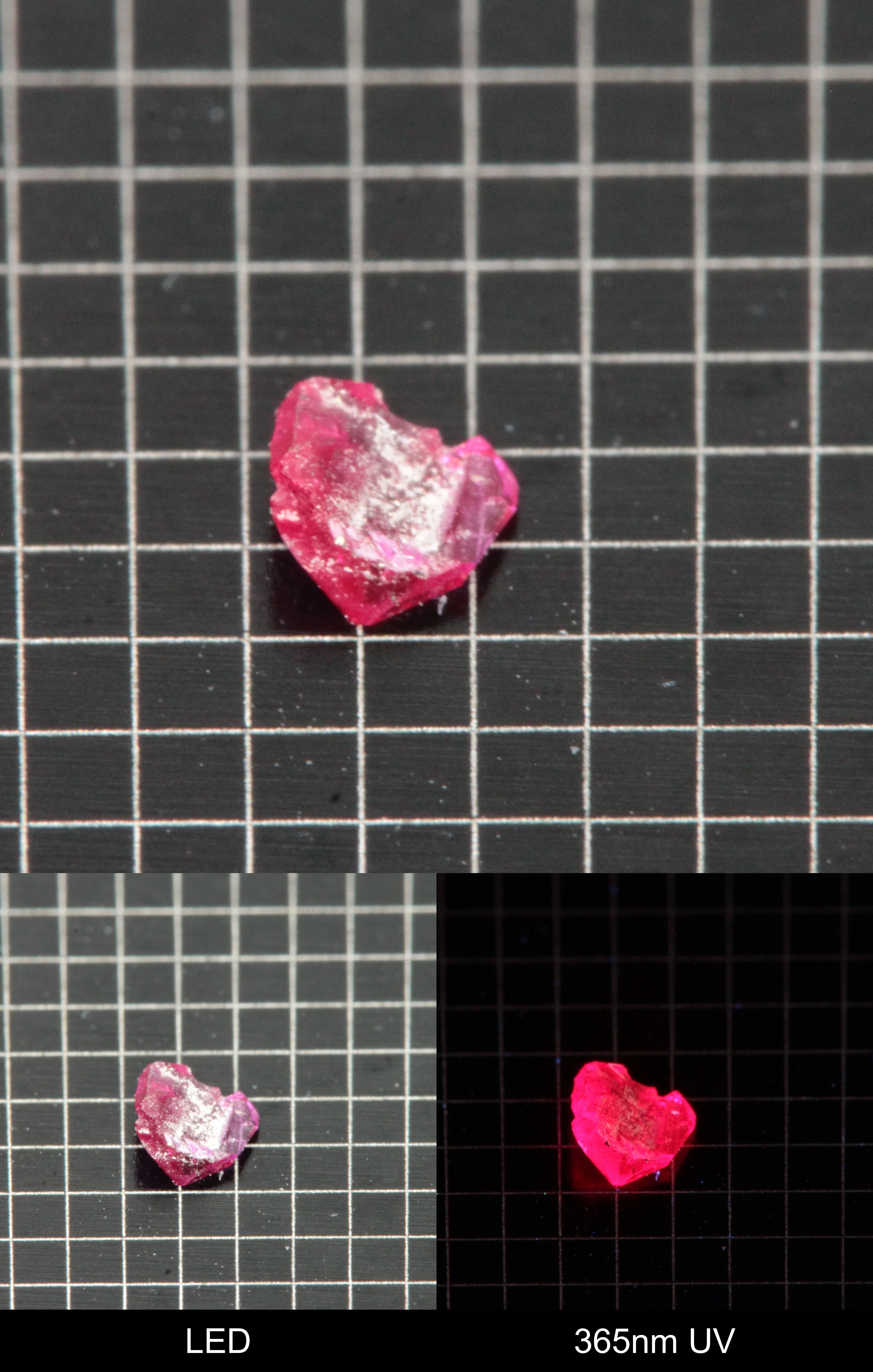 Synthetic Thin Flux Ruby Gemstone Grown by Gems of Science on a black mm grid background showing normal light and UV fluorescence