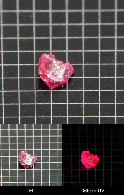 Synthetic Thin Flux Ruby Gemstone Grown by Gems of Science on a black mm grid background showing normal light and UV fluorescence