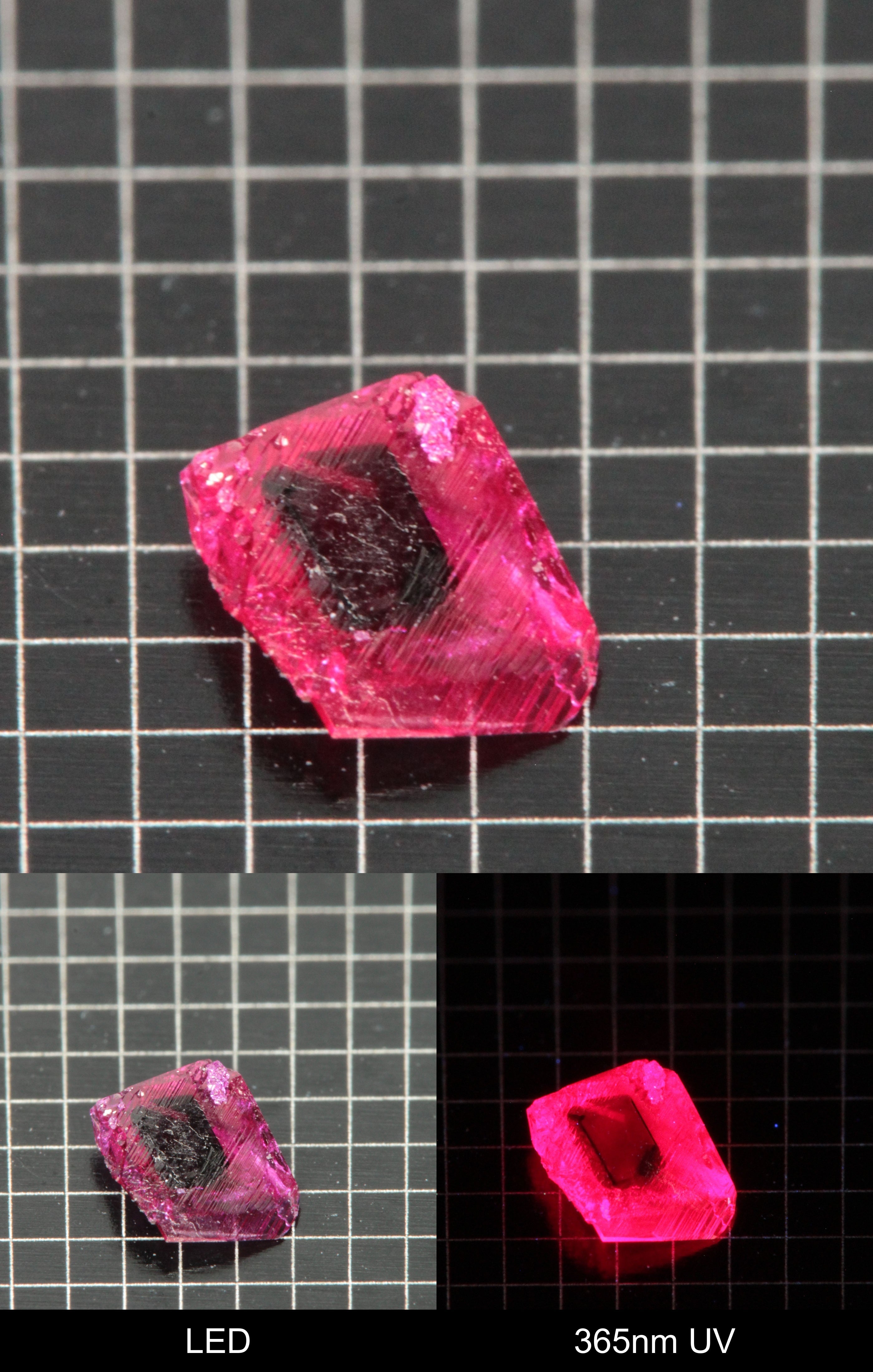 Synthetic Thin Flux Ruby (Black Core) Gemstone Grown by Gems of Science on a black mm grid background showing normal light and UV fluorescence