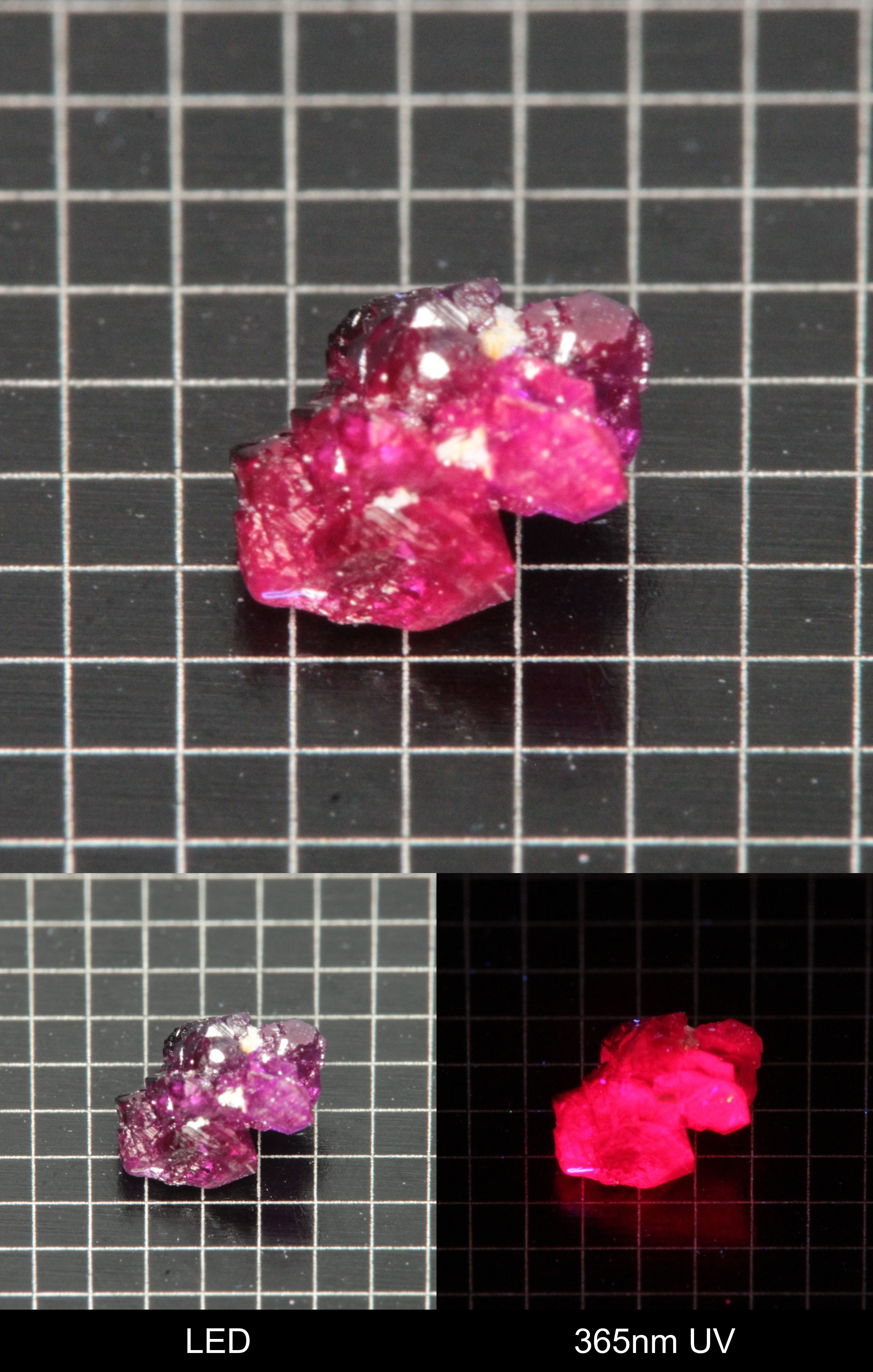 Synthetic Flux Ruby Gemstone Grown by Gems of Science on a black mm grid background showing normal light and UV fluorescence