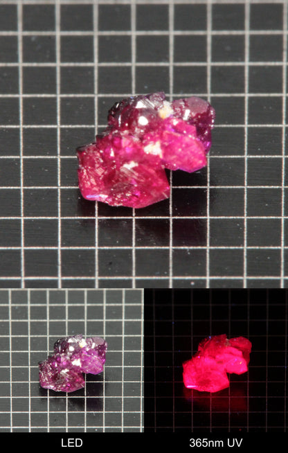 Synthetic Flux Ruby Gemstone Grown by Gems of Science on a black mm grid background showing normal light and UV fluorescence
