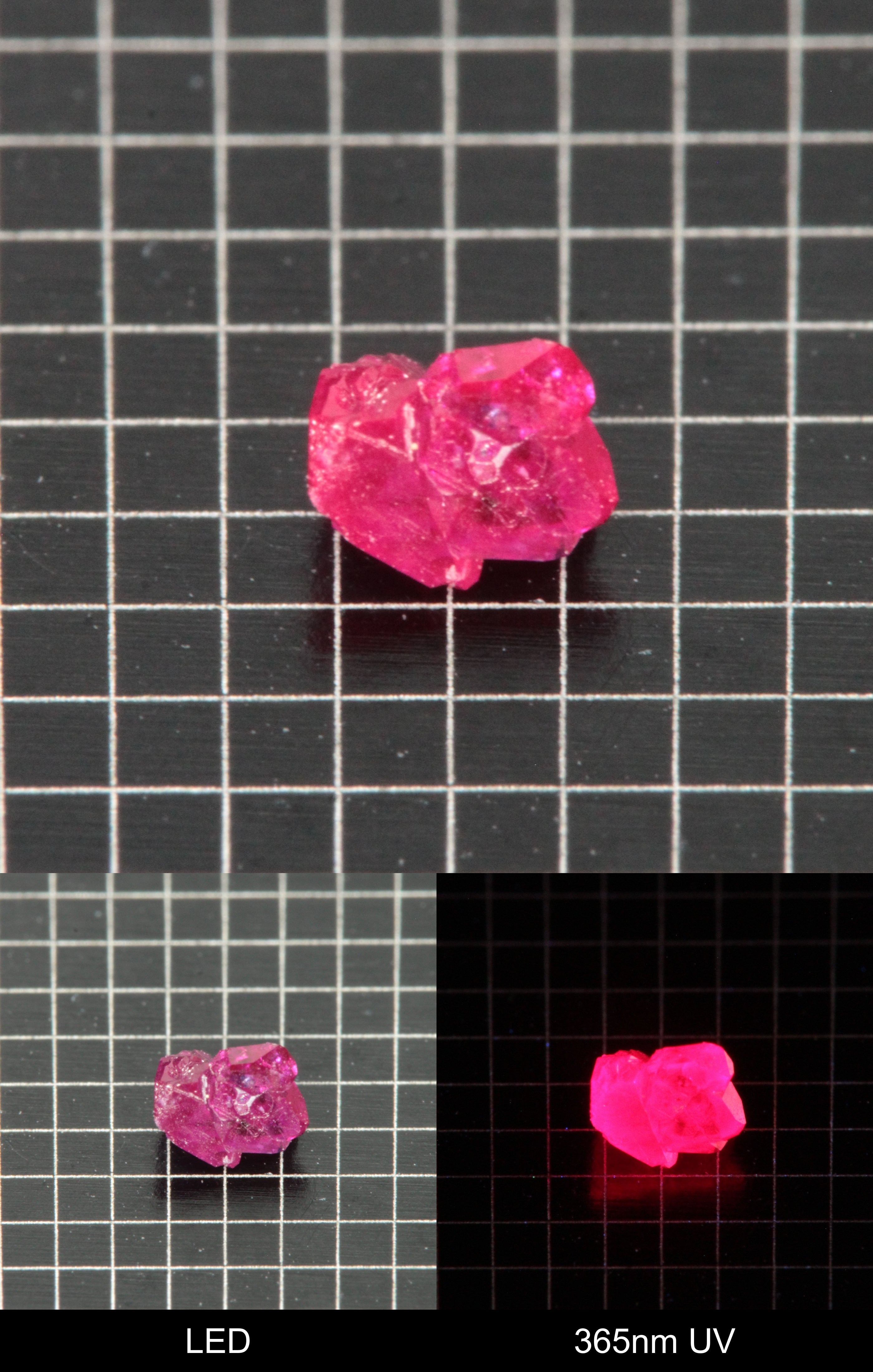 Synthetic Flux Ruby Gemstone Grown by Gems of Science on a black mm grid background showing normal light and UV fluorescence