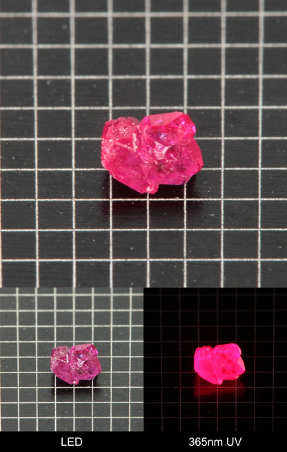 Synthetic Flux Ruby Gemstone Grown by Gems of Science on a black mm grid background showing normal light and UV fluorescence