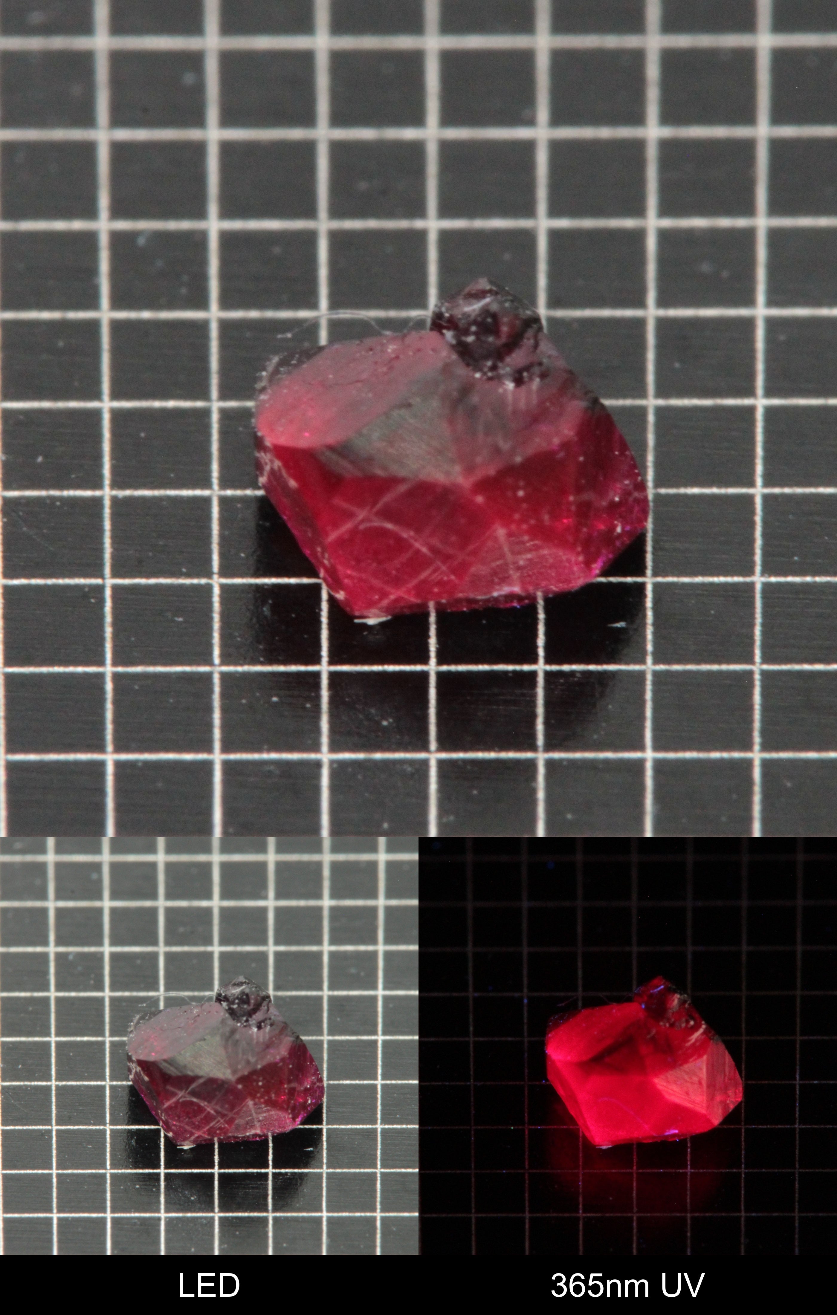 Synthetic Dark Flux Ruby Gemstone Grown by Gems of Science on a black mm grid background showing normal light and UV fluorescence