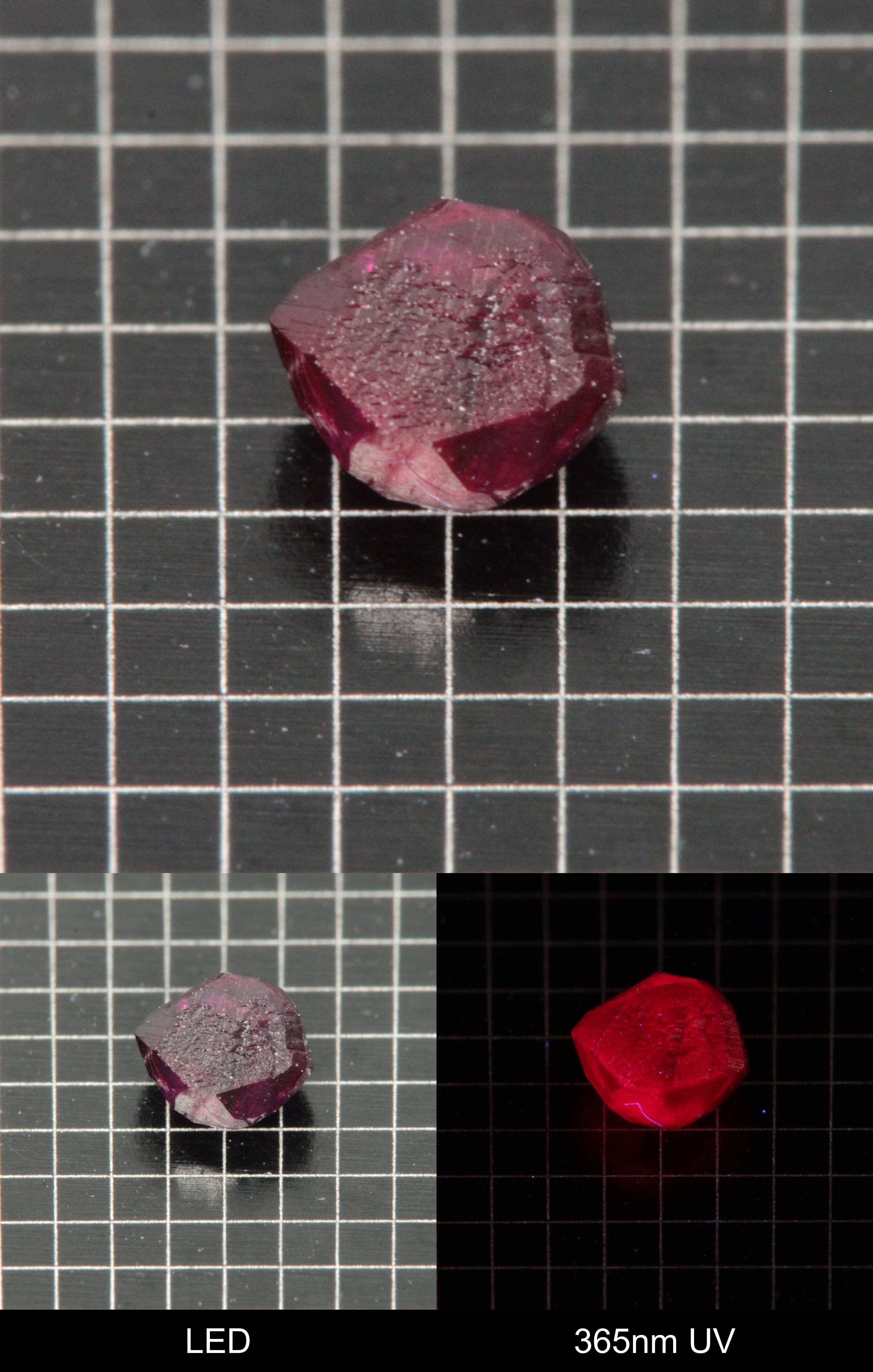 Synthetic Dark Flux Ruby Gemstone Grown by Gems of Science on a black mm grid background showing normal light and UV fluorescence