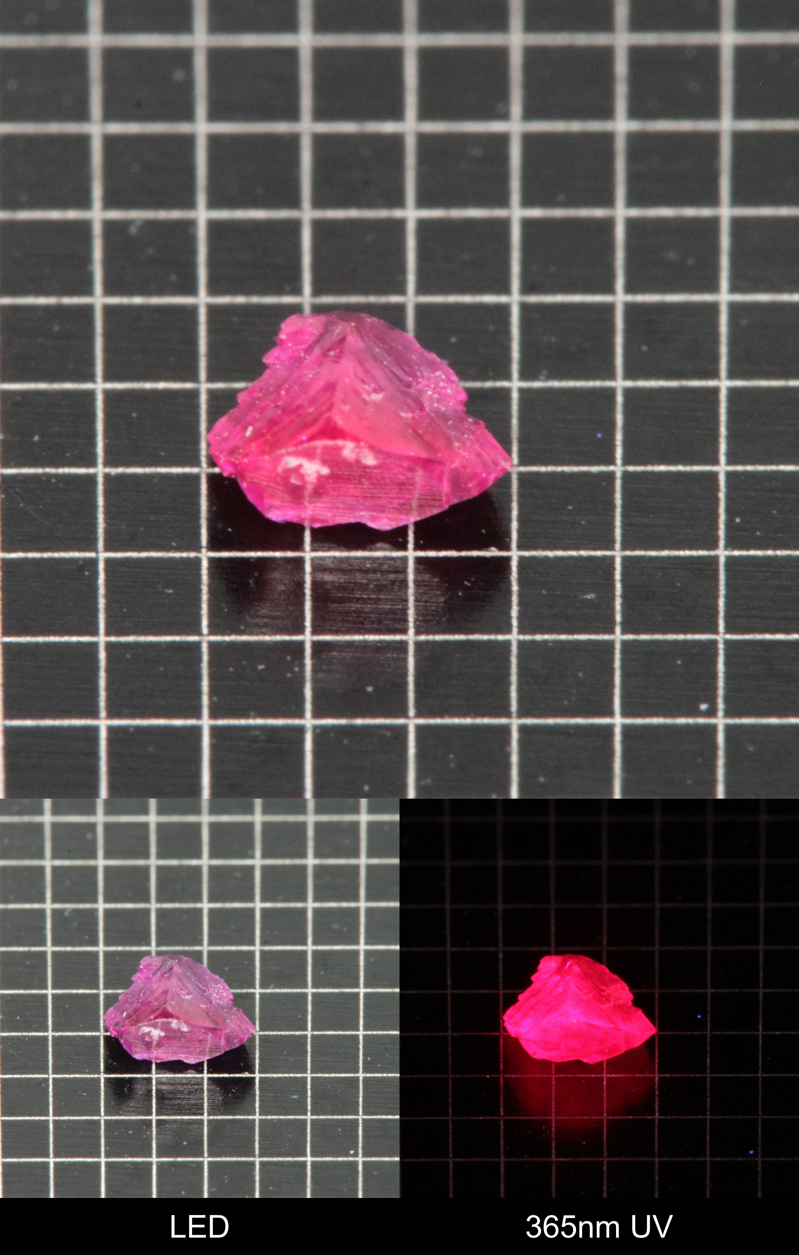 Synthetic Flux Ruby Gemstone Grown by Gems of Science on a black mm grid background showing normal light and UV fluorescence