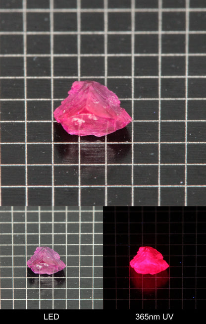 Synthetic Flux Ruby Gemstone Grown by Gems of Science on a black mm grid background showing normal light and UV fluorescence