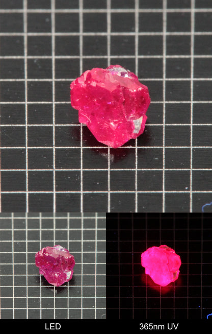 Synthetic Flux Ruby Gemstone Grown by Gems of Science on a black mm grid background showing normal light and UV fluorescence