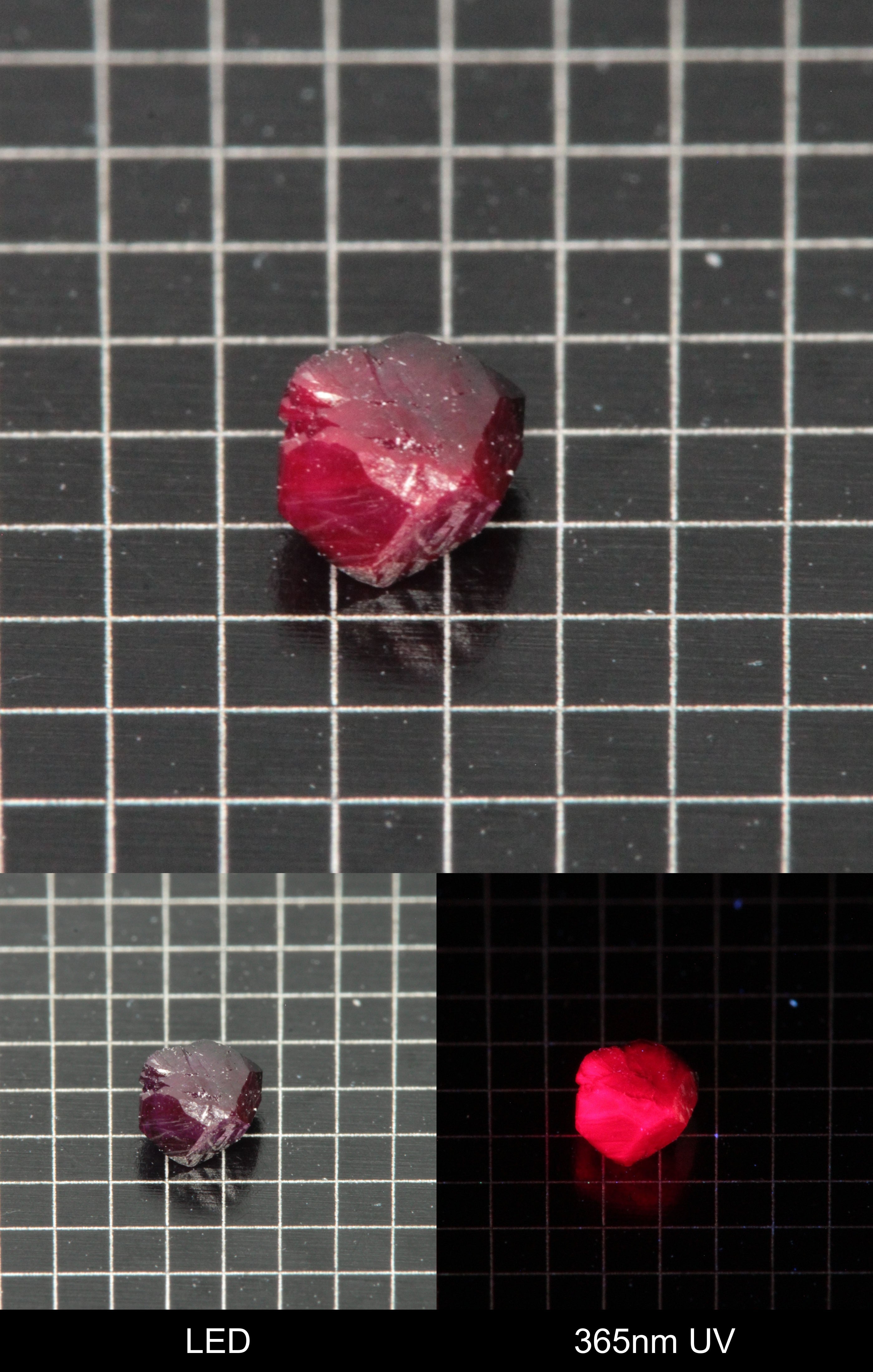 Synthetic Dark Flux Ruby Gemstone Grown by Gems of Science on a black mm grid background showing normal light and UV fluorescence