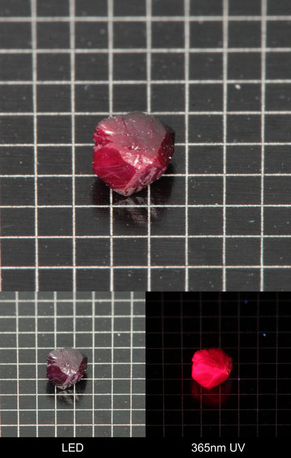 Synthetic Dark Flux Ruby Gemstone Grown by Gems of Science on a black mm grid background showing normal light and UV fluorescence