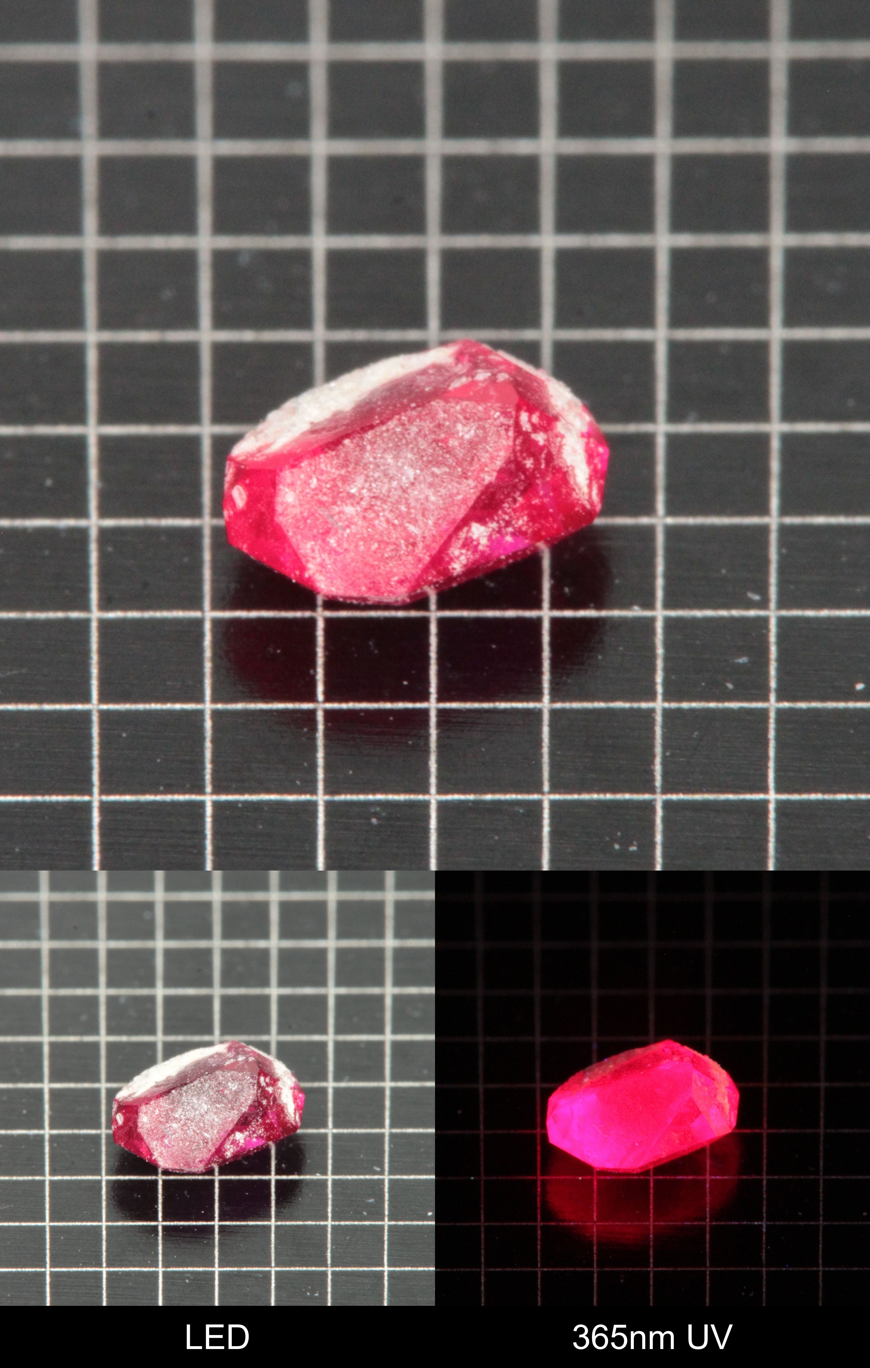 Synthetic Flux Ruby Gemstone Grown by Gems of Science on a black mm grid background showing normal light and UV fluorescence