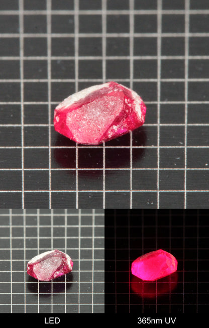 Synthetic Flux Ruby Gemstone Grown by Gems of Science on a black mm grid background showing normal light and UV fluorescence