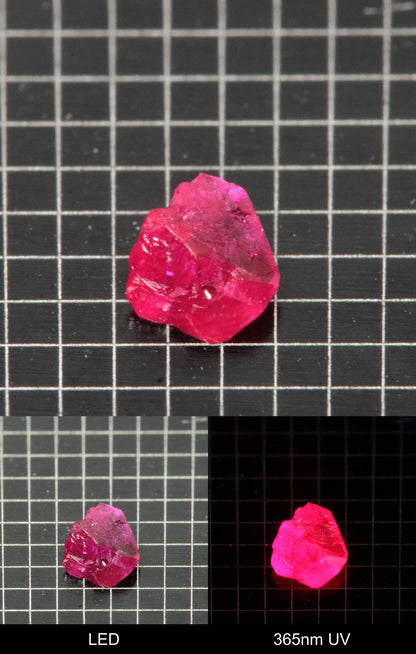 Synthetic Flux Ruby Gemstone Grown by Gems of Science on a black mm grid background showing normal light and UV fluorescence