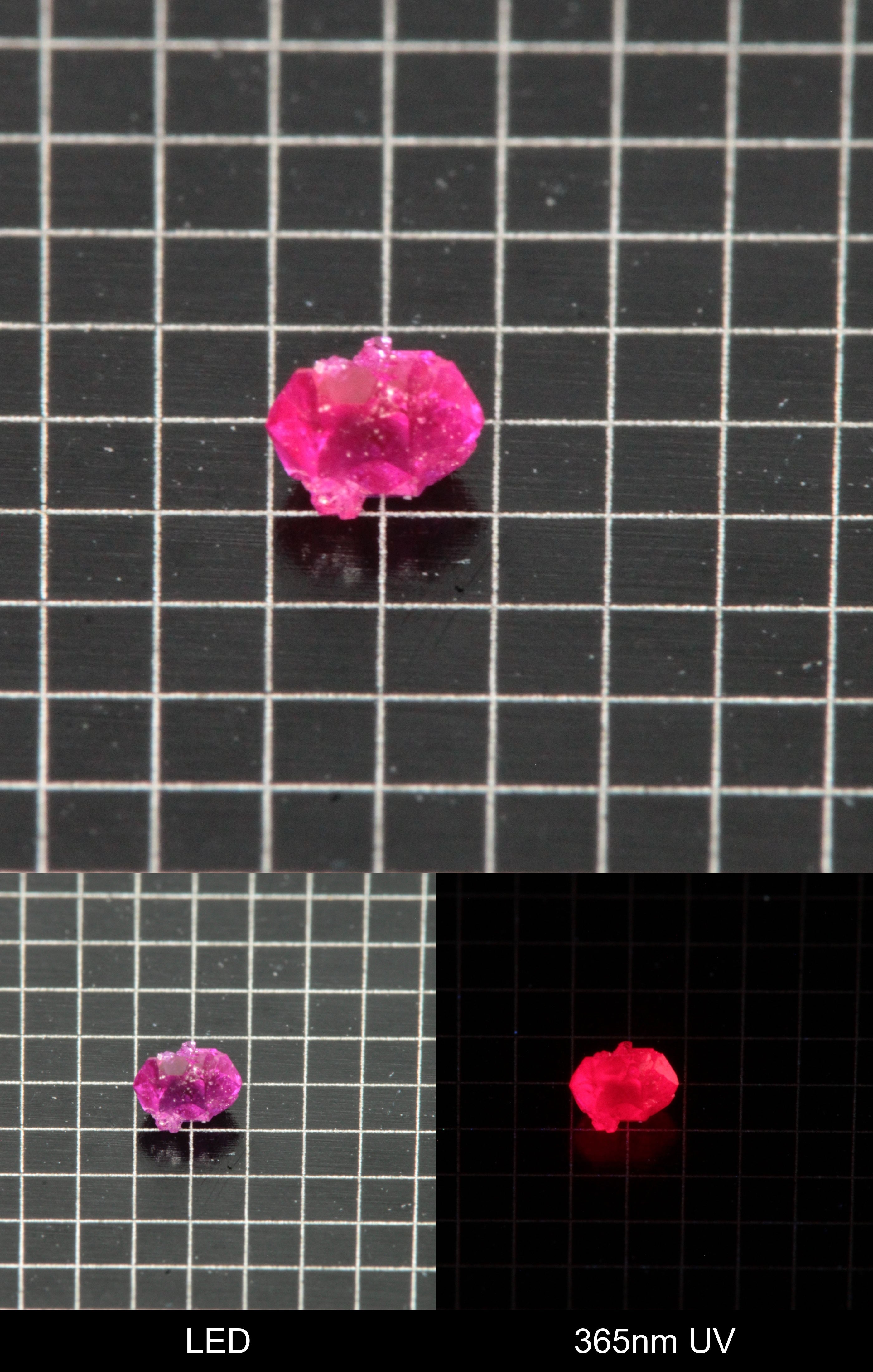Synthetic Flux Ruby Gemstone Grown by Gems of Science on a black mm grid background showing normal light and UV fluorescence