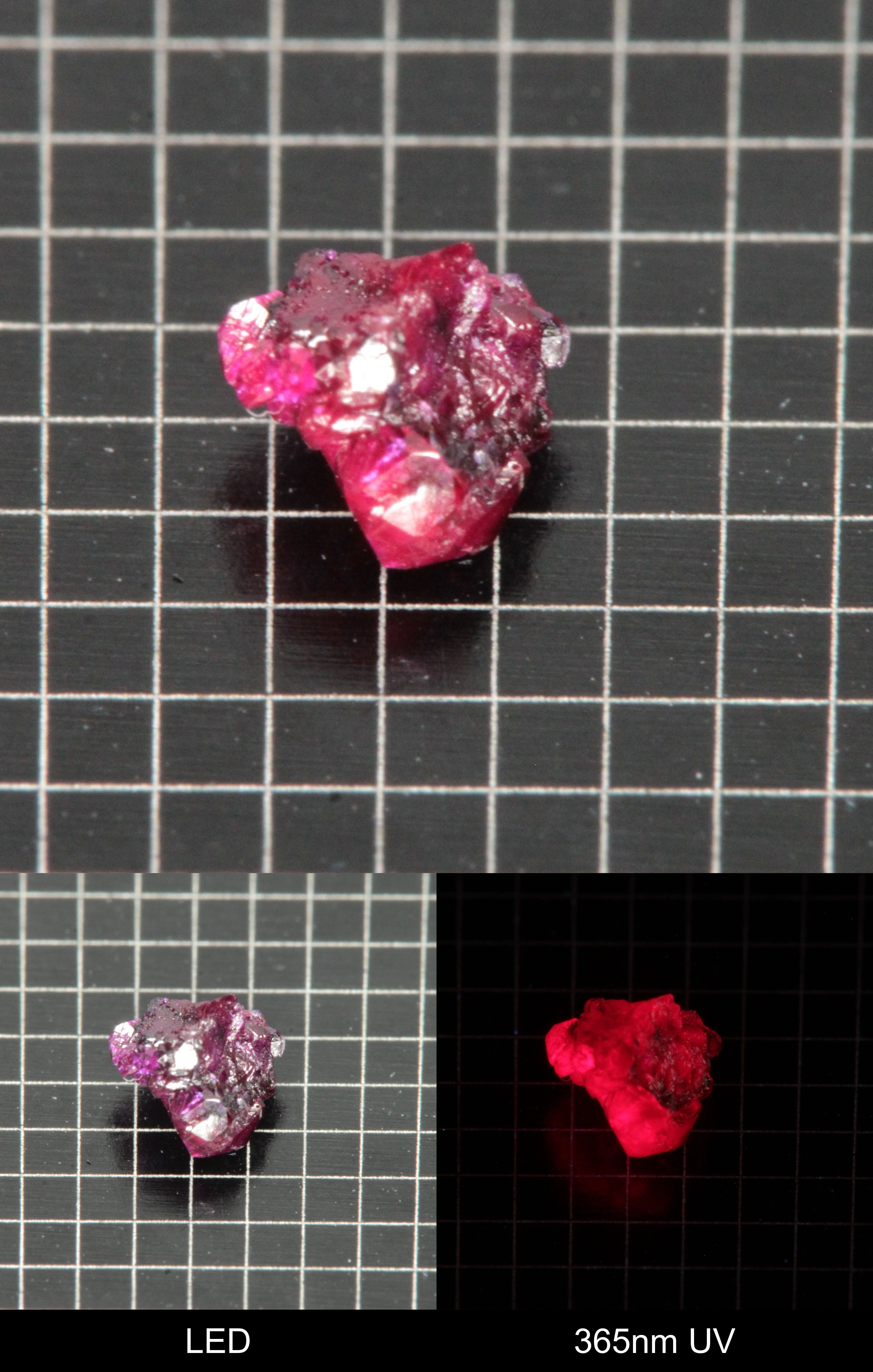 Synthetic Dark Flux Ruby Gemstone Grown by Gems of Science on a black mm grid background showing normal light and UV fluorescence