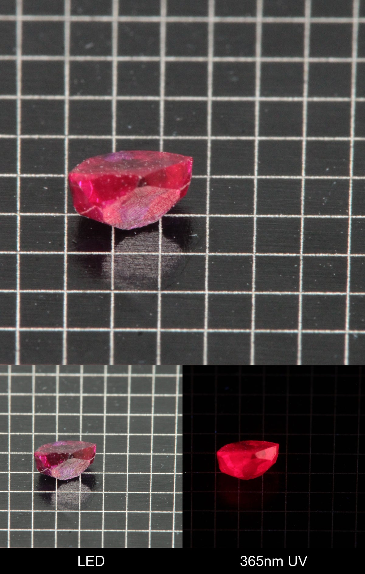 Synthetic Flux Ruby Gemstone Grown by Gems of Science on a black mm grid background showing normal light and UV fluorescence