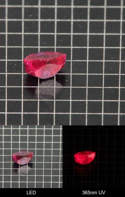 Synthetic Flux Ruby Gemstone Grown by Gems of Science on a black mm grid background showing normal light and UV fluorescence