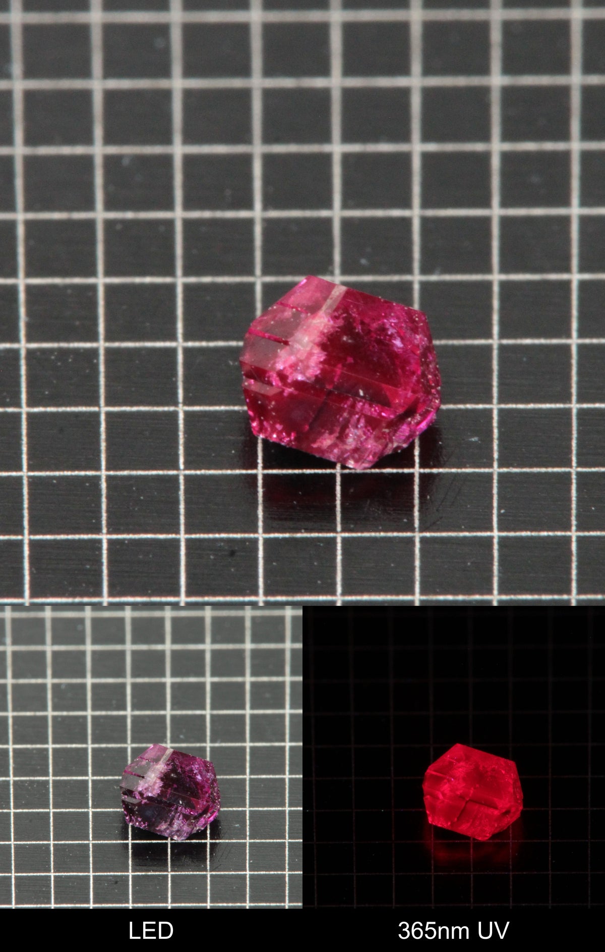 Synthetic Flux Ruby Gemstone Grown by Gems of Science on a black mm grid background showing normal light and UV fluorescence